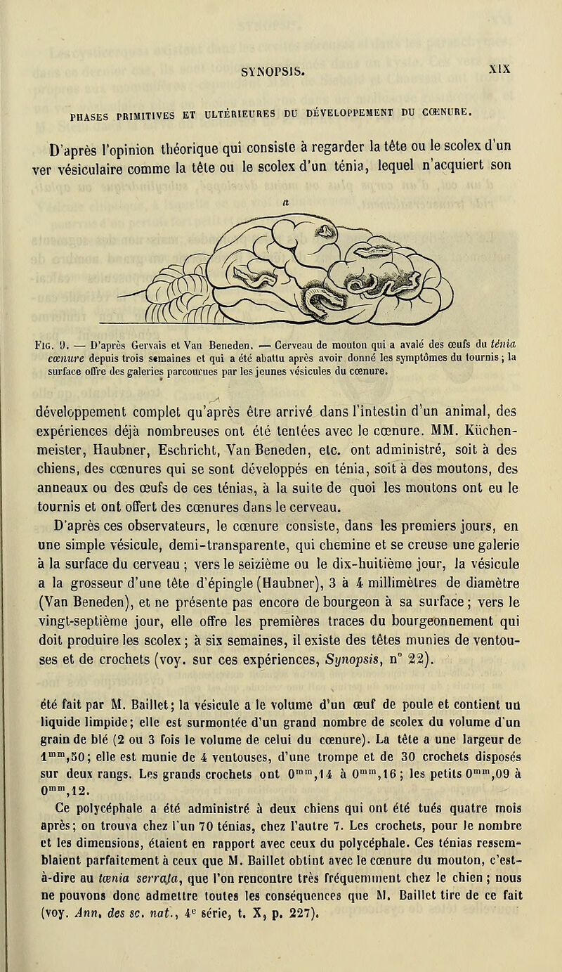 PHASES PRIMITIVES ET ULTÉRIEURES DU DÉVELOPPEMENT DU CŒNURE. D'après l'opinion théorique qui consiste à regarder la tête ou le scolex d'un ver vésiculaire comme la tête ou le scolex d'un ténia, lequel n'acquiert son Kig. 9. — D'après Gervais et Van Beneden. — Cerveau de mouton qui a avalé des œufs du ténia, cœnure depuis trois semaines et qui a été abattu après avoir donné les symptômes du tournis ; la surface offre des galeries parcourues par les jeunes vésicules du cœnure. développement complet qu'après être arrivé dans l'intestin d'un animal, des expériences déjà nombreuses ont été tentées avec le cœnure. MM. Kiïchen- meister, Haubner, Eschricht, Van Beneden, etc. ont administré, soit à des chiens, des cœnures qui se sont développés en ténia, soit à des moutons, des anneaux ou des œufs de ces ténias, à la suite de quoi les moutons ont eu le tournis et ont offert des cœnures dans le cerveau. D'après ces observateurs, le cœnure consiste, dans les premiers jours, en une simple vésicule, demi-transparente, qui chemine et se creuse une galerie à la surface du cerveau ; vers le seizième ou le dix-huitième jour, la vésicule a la grosseur d'une tète d'épingle (Haubner), 3 à 4 millimètres de diamètre (Van Beneden), et ne présente pas encore de bourgeon à sa surface ; vers le vingt-septième jour, elle offre les premières traces du bourgeonnement qui doit produire les scolex ; à six semaines, il existe des têtes munies de ventou- ses et de crochets (voy. sur ces expériences, Synopsis, n° 22). été fait par M. Baillet ; la vésicule a le volume d'un œuf de poule et contient un liquide limpide; elle est surmontée d'un grand nombre de scolex du volume d'un grain de blé (2 ou 3 fois le volume de celui du cœnure). La tête a une largeur de lmm,50; elle est munie de 4 ventouses, d'une trompe et de 30 crochets disposés sur deux rangs. Les grands crochets ont 0mm,14 àOmm,16; les petits 0mm,09 à 0mm,12. Ce polycéphale a été administré à deux chiens qui ont été tués quatre mois après; on trouva chez l'un 70 ténias, chez l'autre 7. Les crochets, pour le nombre et les dimensions, étaient en rapport avec ceux du polycéphale. Ces ténias ressem- blaient parfaitement à ceux que M. Baillet obtint avec le cœnure du mouton, c'est- à-dire au tœnia serraja, que l'on rencontre très fréquemment chez le chien ; nous ne pouvons donc admettre toutes les conséquences que M. Baillet lire de ce fait (voy. Ann, des se. nat., 4e série, t. X, p. 227).