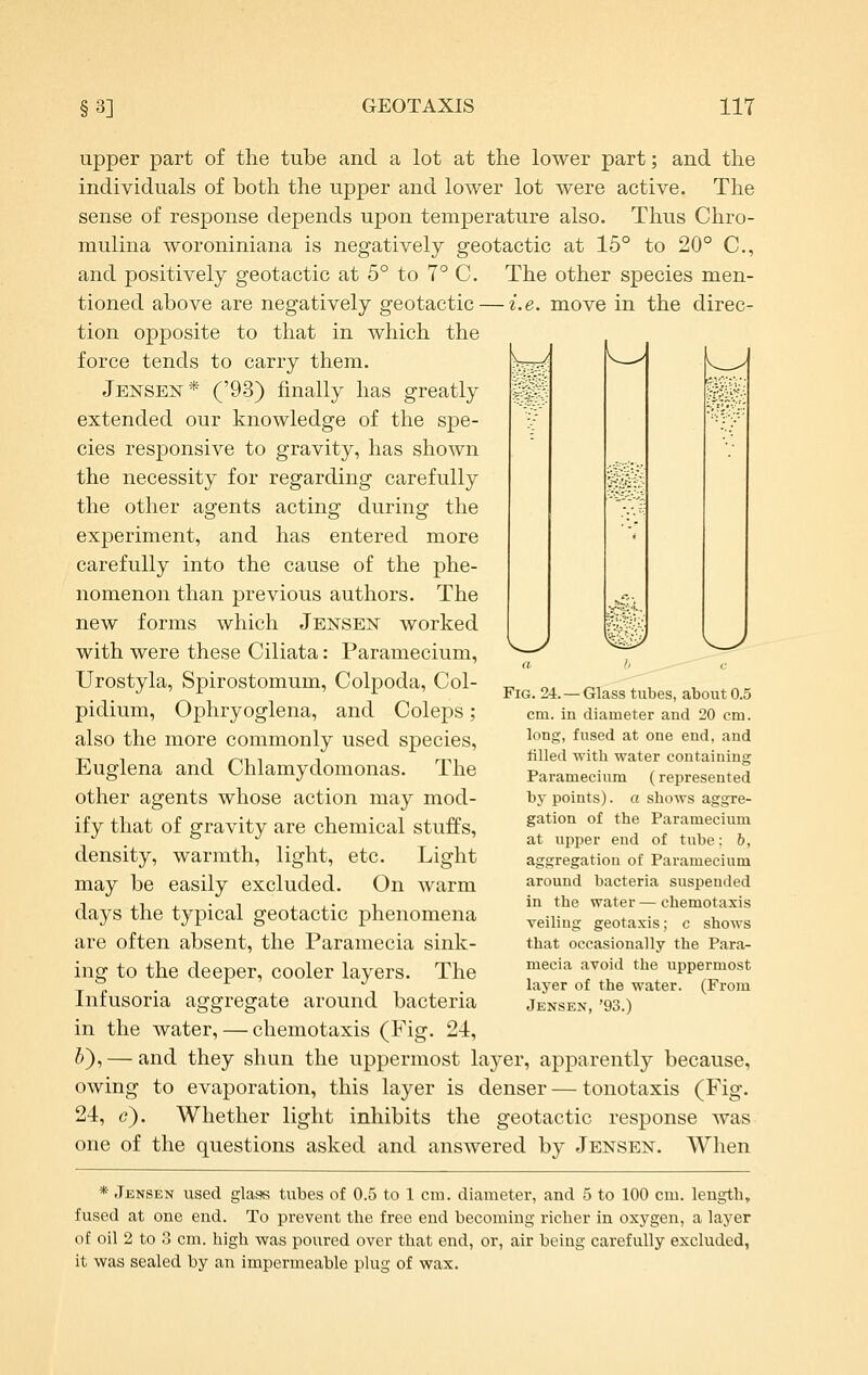 upper part of the tube and a lot at the lower part; and the individuals of both the upper and lower lot were active. The sense of response depends upon temperature also. Thus Chro- mulina woroniniana is negatively geotactic at 16° to 20° C, and positively geotactic at 5° to 7° C. The other species men- tioned above are negatively geotactic — i.e. move in the direc- tion opposite to that in which the force tends to carry them. Jensen* ('93) finally has greatly extended our knowledge of the spe- cies responsive to gravity, has shown the necessity for regarding carefully the other agents acting during the experiment, and has entered more carefully into the cause of the phe- nomenon than previous authors. The new forms which Jensen worked with were these Ciliata: Paramecium, Urostyla, Spirostomum, Colpoda, Col- pidium, Ophryoglena, and Coleps; also the more commonly used species, Euglena and Chlamydomonas. The other agents whose action may mod- ify that of gravity are chemical stuffs, density, warmth, light, etc. Light may be easily excluded. On warm days the typical geotactic phenomena are often absent, the Paramecia sink- ing to the deeper, cooler layers. The Infusoria aggregate around bacteria in the water, — chemotaxis (Fig. 24, ^), — and they shun the uppermost layer, apparently because, owing to evaporation, this layer is denser — tonotaxis (Fig. 24, c). Whether light inhibits the geotactic response was one of the questions asked and answered by Jensen. When <; b c Fig. 24. —Glass tubes, about 0.5 cm. in diameter and 20 cm. long, fused at one end, and filled with water containing Paramecium (represented by points). o shows aggre- gation of the Paramecium at upper end of tube; h, aggregation of Paramecium around bacteria suspended in the water — chemotaxis veiling geotaxis; c shows that occasionally the Para- mecia avoid the uppermost layer of the water. (From Jensen, '93.) * Jensen used glaas tubes of 0.5 to 1 cm. diameter, and 5 to 100 cm. leugtb, fused at one end. To prevent the free end becoming richer in oxygen, a layer of oil 2 to 3 cm. high was poured over that end, or, air being carefully excluded, it was sealed by an impermeable plug of wax.