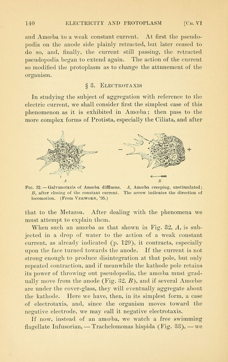 and Amoeba to a weak constant current. At first the pseudo- podia on the anode side plainly retracted, but later ceased to do so, and, finally, the current still passing, the retracted pseudopodia began to extend again. The action of the current so modified the protoplasm as to change the attunement of the organism. § 3. Electrotaxis In studying the subject of aggregation with reference to the electric current, we shall consider first the simplest case of this phenomenon as it is exhibited in Amoeba; then pass to the more complex forms of Protista, especially the Ciliata, and after ^j^^m A B Fig. 32. — Galvanotaxis of Amoeba diffluens. A, Amoeba creeping, unstimulated; B, after closing of the constant current. The arrow indicates the direction of locomotion. (From Verwokn, '95.) that to the Metazoa. After dealing with the phenomena we must attempt to explain them. When such an amoeba as that shown in Fig. 32, A, is sub- jected in a drop of water to the action of a weak constant current, as already indicated (p. 129), it contracts, especially upon the face turned towards the anode. If the current is not strong enough to produce disintegration at that pole, but only repeated contraction, and if meanwhile the kathode pole retains its power of throwing out pseudopodia, the amoeba must grad- ually move from the anode (Fig. 32, 5), and if several Amoebae are under the cover-glass, they will eventually aggregate about the kathode. Here Ave have, then, in its simplest form, a case of electrotaxis, and, since the organism moves toward the negative electrode, we may call it negative electrotaxis. If now, instead of an amoeba, we watch a free swimming flagellate Infusorian, — Trachelomonas hispida (Fig. 33), — we