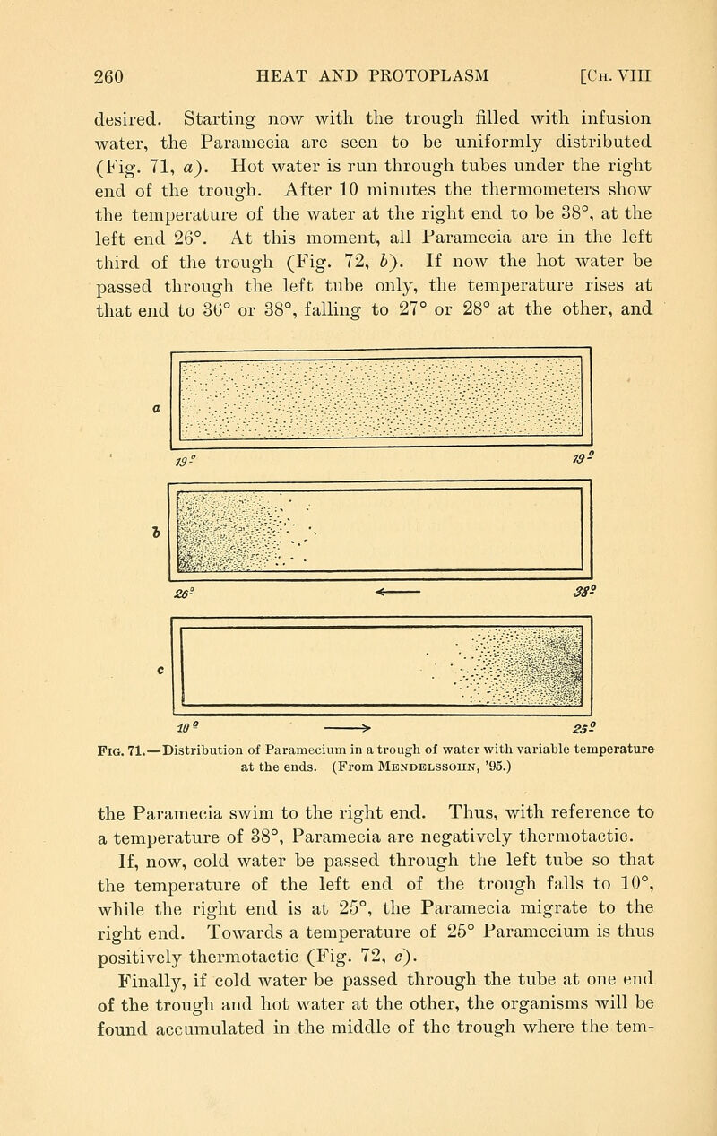 desired. Starting now with the trough filled with infusion water, the Paramecia are seen to be uniformly distributed (Fig. 71, a). Hot water is run through tubes under the right end of the trough. After 10 minutes the thermometers show the temperature of the water at the right end to be 38°, at the left end 26°. At this moment, all Paramecia are in the left third of the trough (Fig. 72, 6). If now the hot water be passed through the left tube only, the temperature rises at that end to 36° or 38°, falling to 27° or 28° at the other, and 1 ■ 73 73 S '1\  26- 38^ ' ,7 ' 10^ 25? Fig. 71.—Distribution of Paramecium in a trough of water with variable temperature at the ends. (From Mendelssohn, '95.) the Paramecia swim to the right end. Thus, with reference to a temperature of 38°, Paramecia are negatively thermotactic. If, now, cold water be passed through the left tube so that the temperature of the left end of the trough falls to 10°, while the right end is at 25°, the Paramecia migrate to the right end. Towards a temperature of 25° Paramecium is thus positively thermotactic (Fig. 72, c). Finally, if cold water be passed through the tube at one end of the trough and hot water at the other, the organisms will be found accumulated in the middle of the trough where the tern-