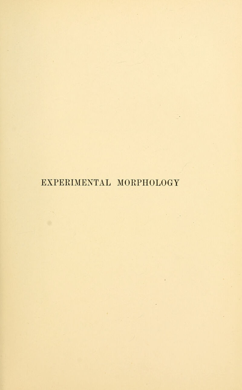 EXPEEIMENTAL MORPHOLOGY