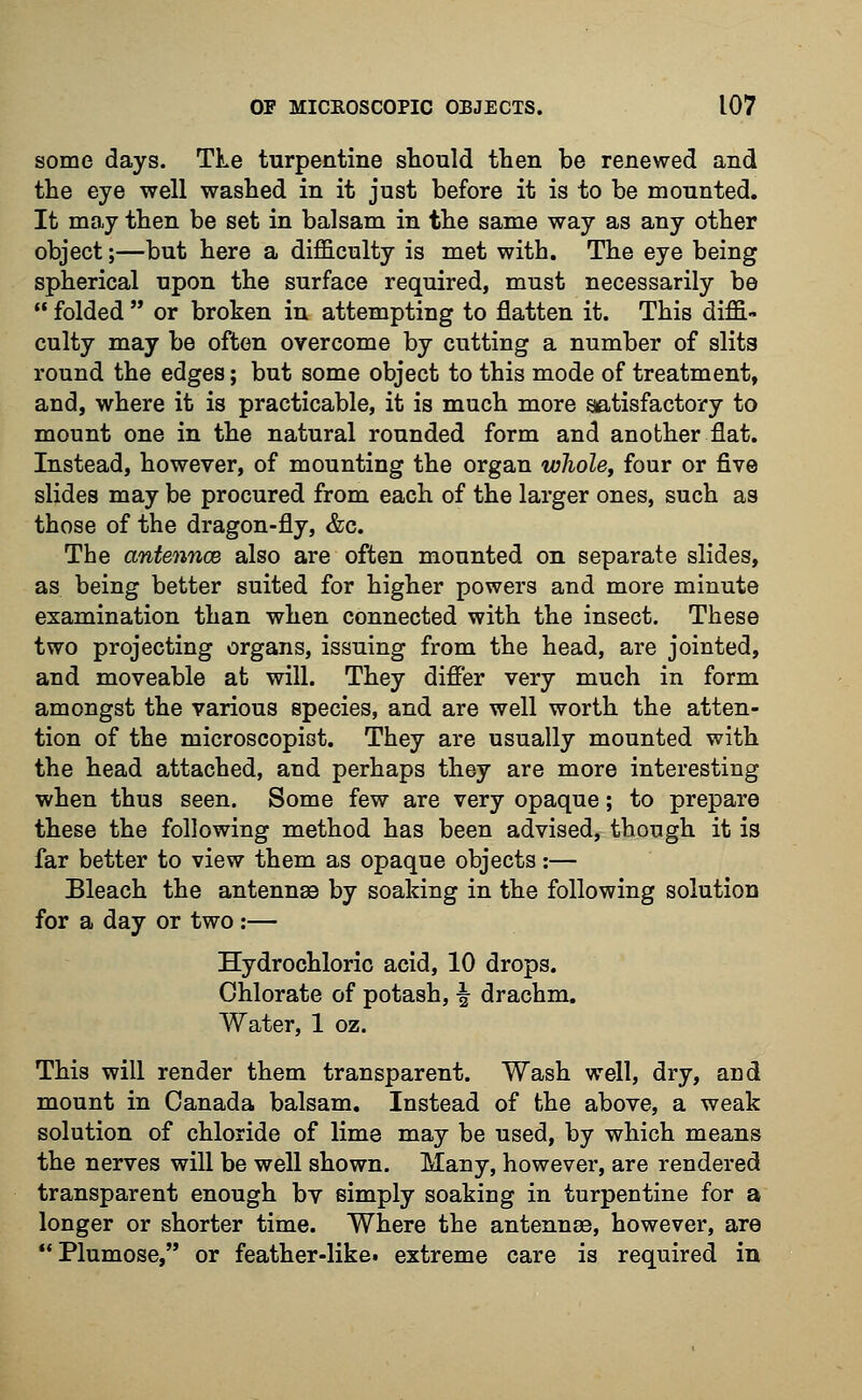some days. TLe turpentine should then be renewed and the eye well washed in it just before it is to be mounted. It may then be set in balsam in the same way as any other object;—but here a difficulty is met with. The eye being spherical upon the surface required, must necessarily be  folded  or broken in attempting to flatten it. This diffi- culty may be often overcome by cutting a number of slits round the edges; but some object to this mode of treatment, and, where it is practicable, it is much more satisfactory to mount one in the natural rounded form and another flat. Instead, however, of mounting the organ whole, four or five slides may be procured from each of the larger ones, such as those of the dragon-fly, &c. The antennae also are often mounted on separate slides, as being better suited for higher powers and more minute examination than when connected with the insect. These two projecting organs, issuing from the head, are jointed, and moveable at will. They differ very much in form amongst the various species, and are well worth the atten- tion of the microscopist. They are usually mounted with the head attached, and perhaps they are more interesting when thus seen. Some few are very opaque; to prepare these the following method has been advised, though it is far better to view them as opaque objects:— Bleach the antennae by soaking in the following solution for a day or two:— Hydrochloric acid, 10 drops. Chlorate of potash, \ drachm. Water, 1 oz. This will render them transparent. Wash well, dry, and mount in Canada balsam. Instead of the above, a weak solution of chloride of lime may be used, by which means the nerves will be well shown. Many, however, are rendered transparent enough bv simply soaking in turpentine for a longer or shorter time. Where the antennse, however, are Plumose, or feather-like, extreme care is required in
