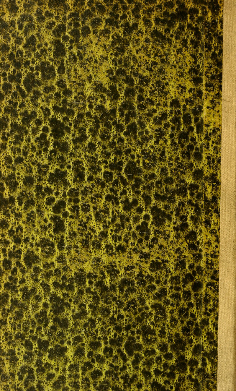 ^ J^* tW'%^- r^ti % w \^J m