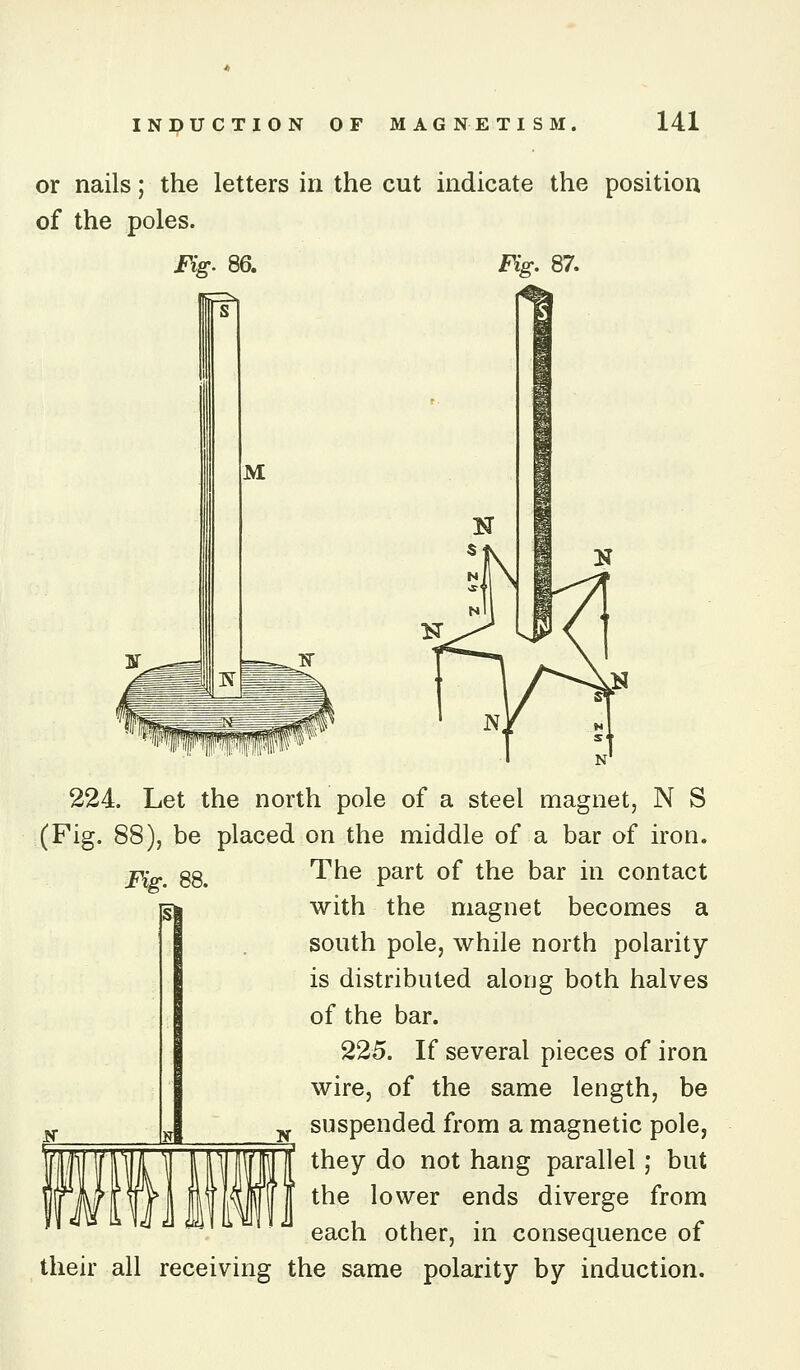 or nails; the letters in the cut indicate the position of the poles. Fig. 86. Fig. 87. Fig. 88. si 224. Let the north pole of a steel magnet, N S (Fig. 88), be placed on the middle of a bar of iron. The part of the bar in contact with the magnet becomes a south pole, while north polarity- is distributed alorjg both halves of the bar. 225. If several pieces of iron wire, of the same length, be suspended from a magnetic pole, they do not hang parallel; but the lower ends diverge from each other, in consequence of their all receiving the same polarity by induction.