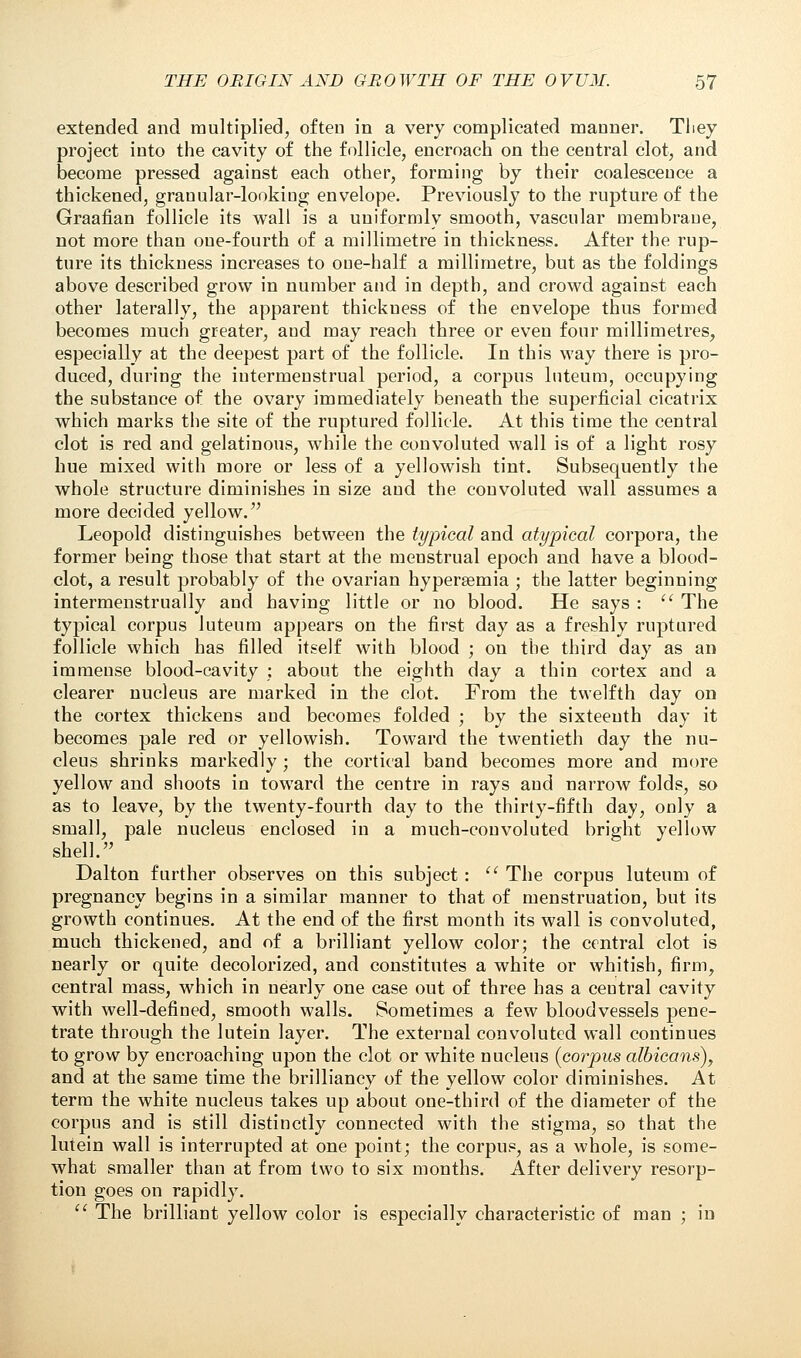 extended and multiplied, often in a very complicated manner. They project into the cavity of the follicle, encroach on the central clot, and become pressed against each other, forming by their coalescence a thickened, granular-looking envelope. Previously to the rupture of the Graafian follicle its wall is a uniformly smooth, vascular membrane, not more than one-fourth of a millimetre in thickness. After the rup- ture its thickness increases to one-half a millimetre, but as the foldings above described grow in number and in depth, and crowd against each other laterally, the apparent thickness of the envelope thus formed becomes much greater, and may reach three or even four millimetres, especially at the deepest part of the follicle. In this way there is pro- duced, during the intermenstrual period, a corpus luteum, occupying the substance of the ovary immediately beneath the superficial cicatrix which marks the site of the ruptured follicle. At this time the central clot is red and gelatinous, while the convoluted wall is of a light rosy hue mixed with more or less of a yellowish tint. Subsequently the whole structure diminishes in size and the convoluted wall assumes a more decided yellow. Leopold distinguishes between the typical and atypical corpora, the former being those that start at the menstrual epoch and have a blood- clot, a result probably of the ovarian hypersemia ; the latter beginning intermenstrually and having little or no blood. He says : The typical corpus luteum appears on the first day as a freshly ruptured follicle which has filled itself with blood ; on the third day as an immense blood-cavity ; about the eighth day a thin cortex and a clearer nucleus are marked in the clot. From the twelfth day on the cortex thickens and becomes folded ; by the sixteenth day it becomes pale red or yellowish. Toward the twentieth day the nu- cleus shrinks markedly; the cortical band becomes more and more yellow and shoots in toward the centre in rays and narrow folds, so as to leave, by the twenty-fourth day to the thirty-fifth day, only a small, pale nucleus enclosed in a much-convoluted bright yellow shell. Dalton further observes on this subject : The corpus luteum of pregnancy begins in a similar manner to that of menstruation, but its growth continues. At the end of the first month its wall is convoluted, much thickened, and of a brilliant yellow color; the central clot is nearly or quite decolorized, and constitutes a white or whitish, firm, central mass, which in nearly one case out of three has a central cavity with well-defined, smooth walls. Sometimes a few bloodvessels pene- trate through the lutein layer. The external convoluted wall continues to grow by encroaching upon the clot or white nucleus {corpus albicans), and at the same time the brilliancy of the yellow color diminishes. At term the white nucleus takes up about one-third of the diameter of the corpus and is still distinctly connected with the stigma, so that the lutein wall is interrupted at one point; the corpus, as a whole, is some- what smaller than at from two to six months. After delivery resorp- tion goes on rapidly. The brilliant yellow color is especially characteristic of man ; in