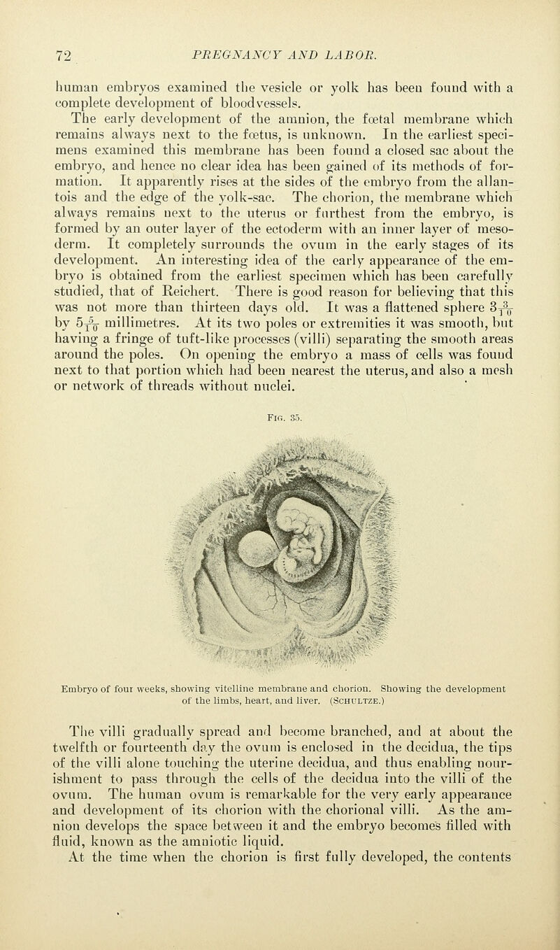 human embryos examined the vesicle or yolk has been found with a complete development of bloodvessels. The early development of the amnion, the foetal membrane which remains always next to the foetus, is unknown. In the earliest speci- mens examined this membrane has been found a closed sac about the embryo, and hence no clear idea has been gained of its methods of for- mation. It apparently rises at the sides of the embryo from the allan- tois and the edge of the yolk-sac. The chorion, the membrane which always remains next to the uterus or furthest from the embryo, is formed by an outer layer of the ectoderm with an inner layer of meso- derm. It completely surrounds the ovum in the early stages of its development. An interesting idea of the early appearance of the em- bryo is obtained from the earliest specimen which has been carefully studied, that of Reichert. There is good reason for believing that this was not more than thirteen days old. It was a flattened sphere 3^- by 5j5q- millimetres. At its two poles or extremities it was smooth, but having a fringe of tuft-like processes (villi) separating the smooth areas around the poles. On opening the embryo a mass of cells was found next to that portion which had been nearest the uterus, and also a mesh or network of threads without nuclei. Fig. 35. Embryo of four weeks, showing vitelline membrane and chorion. Showing the development of the limbs, heart, and liver. (Schultze.) The villi gradually spread and become branched, and at about the twelfth or fourteenth day the ovum is enclosed in the decidua, the tips of the villi alone touching the uterine decidua, and thus enabling nour- ishment to pass through the cells of the decidua into the villi of the ovum. The human ovum is remarkable for the very early appearance and development of its chorion with the chorional villi. As the am- nion develops the space between it and the embryo becomes filled with fluid, known as the amniotic liquid. At the time when the chorion is first fully developed, the contents