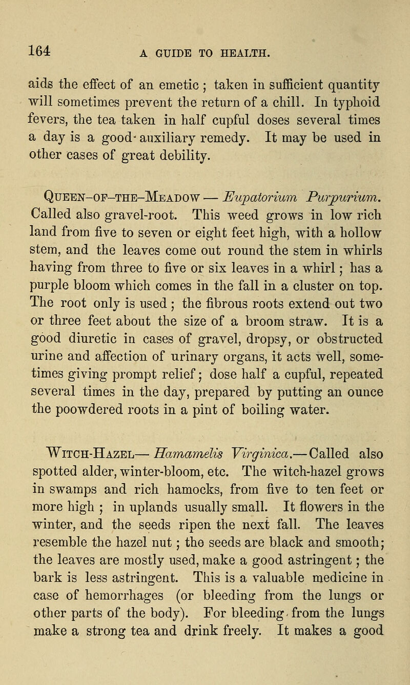 aids the effect of an emetic ; taken in sufficient quantity will sometimes prevent the return of a chill. In typhoid fevers, the tea taken in half cupful doses several times a day is a good* auxiliary remedy. It may be used in other cases of great debility. Queen-of-the-Meadow — Eupatorium Purpurium. Called also gravel-root. This weed grows in low rich land from five to seven or eight feet high, with a hollow stem, and the leaves come out round the stem in whirls having from three to five or six leaves in a whirl; has a purple bloom which comes in the fall in a cluster on top. The root only is used ; the fibrous roots extend out two or three feet about the size of a broom straw. It is a good diuretic in cases of gravel, dropsy, or obstructed urine and affection of nrinary organs, it acts well, some- times giving prompt relief; dose half a cupful, repeated several times in the day, prepared by putting an ounce the poowdered roots in a pint of boiling water. Witch-Hazel—■ Hamamelis Virginica.— Called also spotted alder, winter-bloom, etc. The witch-hazel grows in swamps and rich hamocks, from five to ten feet or more high ; in uplands usually small. It flowers in the winter, and the seeds ripen the next fall. The leaves resemble the hazel nut; the seeds are black and smooth; the leaves are mostly used, make a good astringent; the bark is less astringent. This is a valuable medicine in case of hemorrhages (or bleeding from the lungs or other parts of the body). For bleeding . from the lungs make a strong tea and drink freely. It makes a good