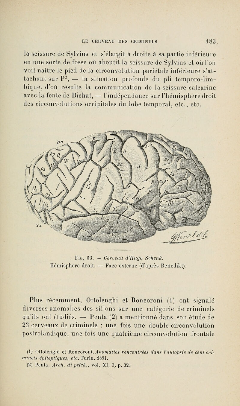 la scissure de Sylvius el s'élargit à droite à sa partie inférieure en une sorte de fosse où aboutit la scissure de Sylvius et où l'on voit naître le pied de la circonvolution pariétale inférieure s'at- tachant sur P-, — la situation profonde du pli temporo-lim- bique, d'où résulte la communication de la scissure calcarine avec la fente de Bichat,— l'indépendance sur l'hémisphère droit des circonvolutions occipitales du lobe temporal, etc., etc. Fig. 63. — Cerveau d'Hugo Schenk. Hémisphère droit. — Face externe (d'après Benedikt). Plus récemment, Ottolenghi et Roncoroni (1) ont signalé diverses anomalies des sillons sur une catégorie de criminels qu'ils ont étudiés. — Penta (2) a mentionné dans son étude de 23 cerveaux de criminels : une fois une double circonvolution poslrolandique, une fois une quatrième circonvolution frontale (i) Otlolenghi et Roncoroni, Anomalies rencontrées dans l'autopsie de cent cri- minels épileptiques, etc, Turin, 1891. (2) Penta, Arch. di psich., vol. XI, 3, p. 32.