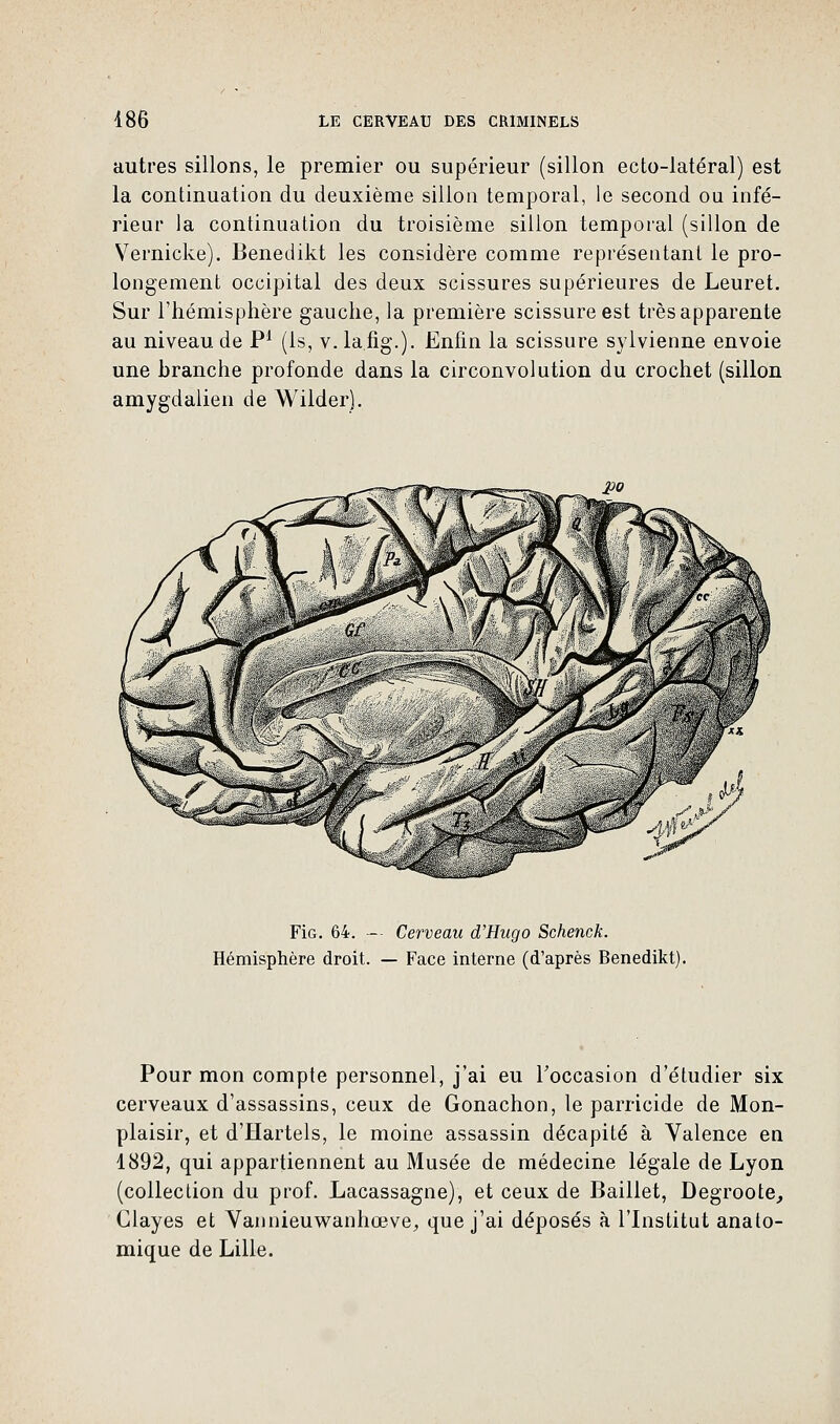 autres sillons, le premier ou supérieur (sillon ecto-latéral) est la continuation du deuxième sillon temporal, le second ou infé- rieur la continuation du troisième sillon temporal (sillon de Vernicke). Benedikt les considère comme représentant le pro- longement occipital des deux scissures supérieures de Leuret. Sur l'hémisphère gauche, la première scissure est très apparente au niveau de P1 (ls, v. la.fig.). Enfin la scissure sylvienne envoie une branche profonde dans la circonvolution du crochet (sillon amygdalien de Wilder). Fie 64. — Cerveau d'Hugo Schenck. Hémisphère droit. — Face interne (d'après Benedikt). Pour mon compte personnel, j'ai eu l'occasion d'étudier six cerveaux d'assassins, ceux de Gonachon, le parricide de Mon- plaisir, et d'Hartels, le moine assassin décapité à Valence en 1892, qui appartiennent au Musée de médecine légale de Lyon (collection du prof. Lacassagne), et ceux de Baillet, Degroote, Glayes et Yannieuwanhœve, que j'ai déposés à l'Institut anato- mique de Lille.