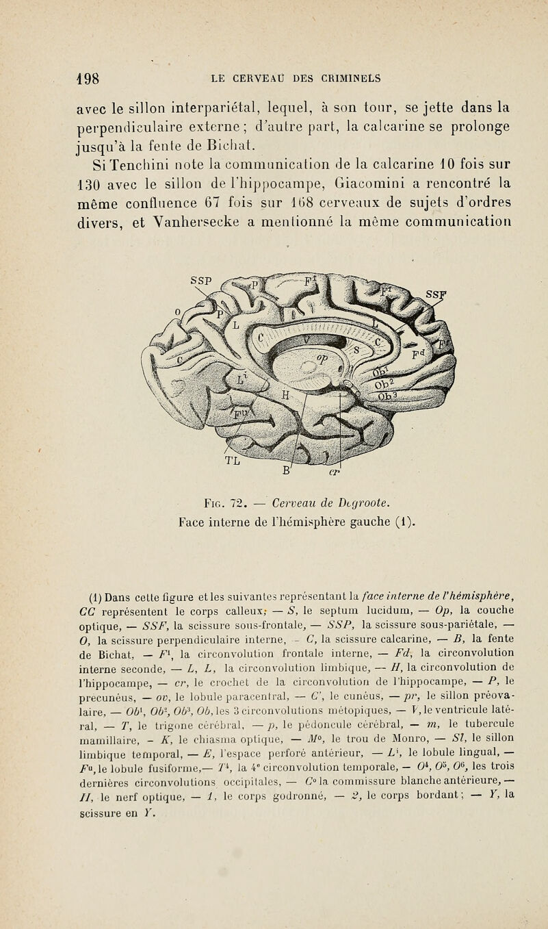 avec le sillon interpariétal, lequel, à son tour, se jette dans la perpendiculaire externe ; d'autre part, la calcarine se prolonge jusqu'à la fente de Bichat. SiTenchini note la communication de la calcarine 10 fois sur 130 avec le sillon de l'hippocampe, Giacomini a rencontré la même confluence 67 fois sur 168 cerveaux de sujets d'ordres divers, et Yanhersecke a mentionné la même communication Fig. 72. — Cerveau de Dtgroote. Face interne de l'hémisphère gauche (1). (1) Dans cette figure et les suivantes représentant la face interne de l'hémisphère, CC représentent le corps calleux,- — S, le septum luciduni, — Op, la couche optique, — SSF, la scissure sous-frontale, — SSP, la scissure sous-pariétale, — 0, la scissure perpendiculaire interne, - C, la scissure calcarine, — B, la fente de Bichat, — F\ la circonvolution frontale interne, — Fd, la circonvolution interne seconde, — L, L, la circonvolution limbique, — H, la circonvolution de l'hippocampe, — cr, le crochet de la circonvolution de l'hippocampe, — P, le precunéus, — ov, le lobule paracentrai, — G', le cunéus, — pr, le sillon préova- laire, _ 06', Ob', Ob'6, Ob, les 3 circonvolutions métopiques, — F, le ventricule laté- ral, _ T, le trigone cérébral, — p, le pédoncule cérébral, — m, le tubercule mamillaire, - K, le chiasma optique, — M0, le trou de Monro, — 67, le sillon limbique temporal, — E, l'espace perforé antérieur, — L\ le lobule lingual, — Fa,\e lobule fusiforme,— Tk, la 4e circonvolution temporale, — 0*, O3, O6, les trois dernières circonvolutions occipitales,— C° la commissure blanche antérieure, — //, le nerf optique, — 1, le corps godronné, — 2, le corps bordant; — Y, la scissure en Y.