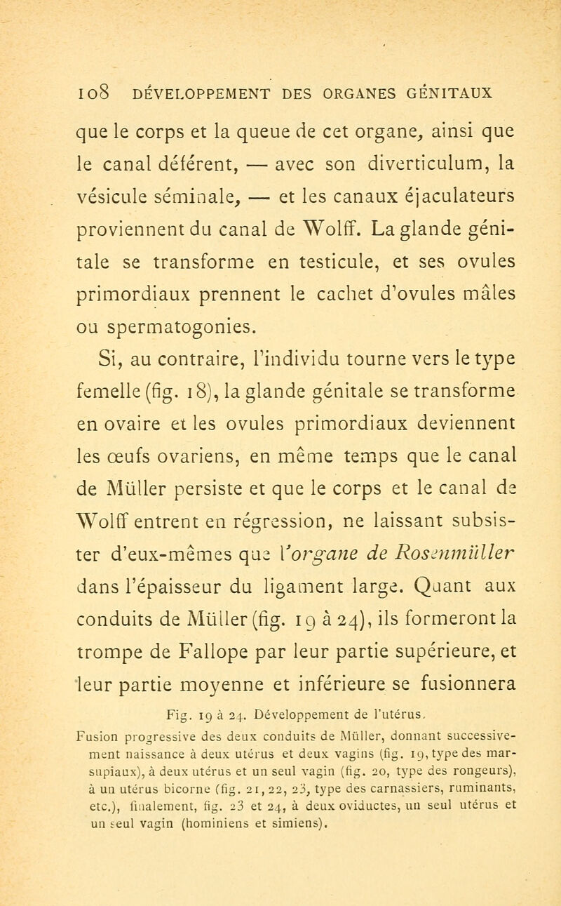 que le corps et la queue de cet organe, ainsi que le canal déférent, — avec son diverticulum, la vésicule séminale, — et les canaux éjaculateurs proviennent du canal de Wolff. La glande géni- tale se transforme en testicule, et ses ovules primordiaux prennent le cachet d'ovules mâles ou spermatogonies. Si, au contraire, l'individu tourne vers le type femelle (fig. 18), la glande génitale se transforme en ovaire et les ovules primordiaux deviennent les œufs ovariens, en même temps que le canal de Mùller persiste et que le corps et le canal de Wolff entrent en régression, ne laissant subsis- ter d'eux-mêmes que ['organe de Rosenmuller dans l'épaisseur du ligament large. Quant aux conduits de Mùller (fig. 19 à 24), ils formeront la trompe de Fallope par leur partie supérieure, et leur partie moyenne et inférieure se fusionnera Fig. 19 à 24. Développement de l'utérus. Fusion progressive des deux conduits de Mùller, donnant successive- ment naissance à deux utérus et deux vagins (fig. 19, type des mar- supiaux), à deux utérus et un seul vagin (fig. 20, type des rongeurs), à un utérus bicorne (fig. 21, 22, 23, type des carnassiers, ruminants, etc.), finalement, fig. 23 et 24, à deux oviductes, un seul utérus et un seul vagin (hominiens et simiens).