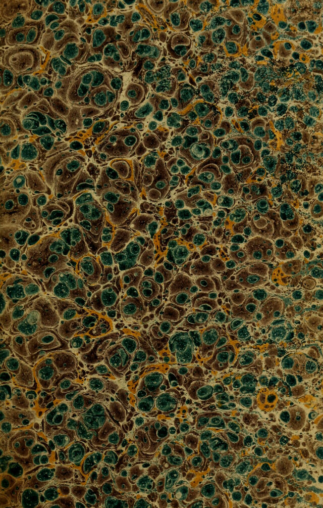 digitised image 3