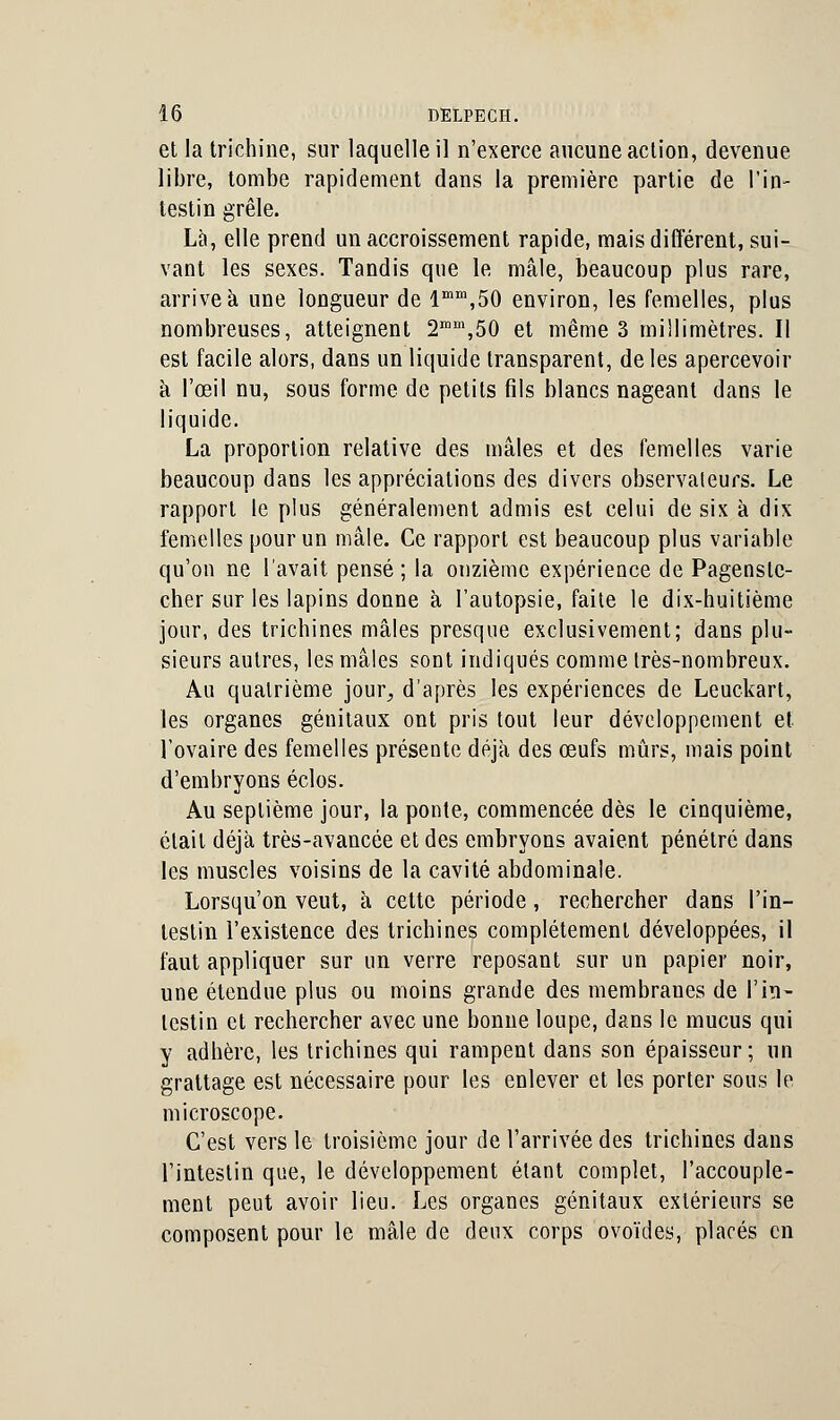 et la trichine, sur laquelle il n'exerce aucune action, devenue libre, tombe rapidement dans la première partie de l'in- testin grêle. Là, elle prend un accroissement rapide, mais différent, sui- vant les sexes. Tandis que le mâle, beaucoup plus rare, arrive à une longueur de lmm,50 environ, les femelles, plus nombreuses, atteignent 2ram,50 et même 3 millimètres. Il est facile alors, dans un liquide transparent, de les apercevoir à l'œil nu, sous forme de petits fils blancs nageant dans le liquide. La proportion relative des mâles et des femelles varie beaucoup dans les appréciations des divers observateurs. Le rapport le plus généralement admis est celui de six à dix femelles pour un mâle. Ce rapport est beaucoup plus variable qu'on ne l'avait pensé ; la onzième expérience de Pagenslc- cher sur les lapins donne à l'autopsie, faite le dix-huitième jour, des trichines mâles presque exclusivement; dans plu- sieurs autres, les mâles sont indiqués comme très-nombreux. Au quatrième jour, d'après les expériences de Leuckart, les organes génitaux ont pris tout leur développement et l'ovaire des femelles présente déjà des œufs mûrs, mais point d'embryons éclos. Au septième jour, la ponte, commencée dès le cinquième, était déjà très-avancée et des embryons avaient pénétré dans les muscles voisins de la cavité abdominale. Lorsqu'on veut, à cette période, rechercher dans l'in- testin l'existence des trichines complètement développées, il faut appliquer sur un verre reposant sur un papier noir, une étendue plus ou moins grande des membranes de l'in- testin et rechercher avec une bonne loupe, dans le mucus qui y adhère, les trichines qui rampent dans son épaisseur; un grattage est nécessaire pour les enlever et les porter sous le microscope. C'est vers le troisième jour de l'arrivée des trichines dans l'intestin que, le développement étant complet, l'accouple- ment peut avoir lieu. Les organes génitaux extérieurs se composent pour le mâle de deux corps ovoïdes, placés en