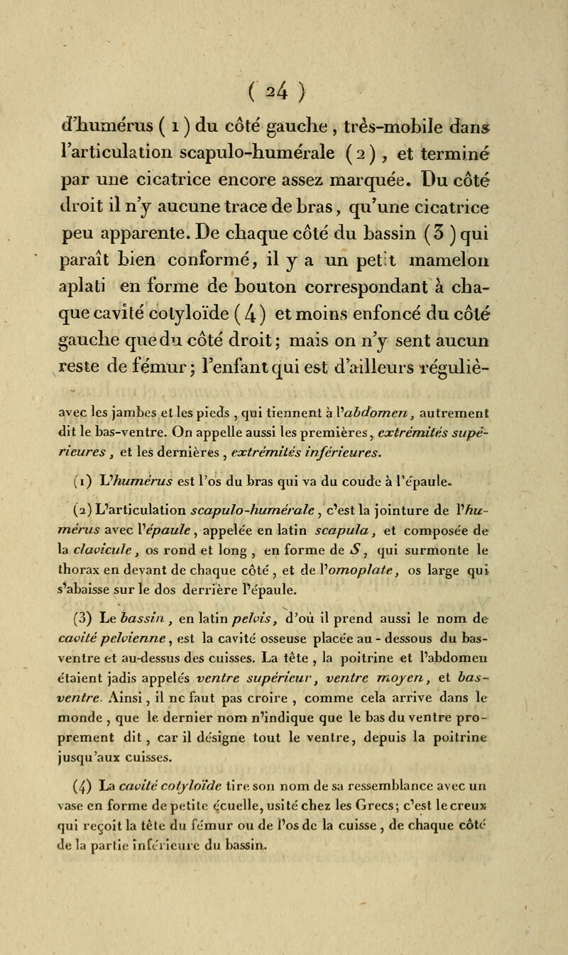 d'humérus ( 1 ) du côté gauche , très-mobile dan* l'articulation scapulo-humérale ( 2 ) , et terminé par une cicatrice encore asse^ marquée. Du côté droit il n'y aucune trace de hras, qu'une cicatrice peu apparente. De chaque côté du hassin (3 ) qui paraît bien conformé, il y a un petit mamelon aplati en forme de bouton correspondant à cha- que cavité cotyloïde ( 4 ) et moins enfoncé du côté gauche que du côté droit ; mais on n'y sent aucun reste de fémur ; l'enfant qui est d ailleurs réguliè- avec les jambes et les pieds , qui tiennent à V abdomen, autrement dit le bas-ventre. On appelle aussi les premières, extrémités supé- rieures , et les dernières , extrémités inférieures. (1) \j humérus est l'os du bras qui va du coude à l'épaule. (2) L'articulation scapulo-humérale, c'est la jointure de Vhu- mérus avec Vépaule , appele'e en latin scapula, et composée de la clavicule t os rond et long , en forme de S, qui surmonte le thorax en devant de chaque côté , et de V omoplate, os large qui s'abaisse sur le dos derrière l'épaule. (3) Le bassin , en latin pelvis, d'où il prend aussi le nom de cavité pelvienne, est la cavité osseuse placée au - dessous du bas- ventre et au-dessus des cuisses. La tête , la poitrine et l'abdomen étaient jadis appelés ventre supérieur, ventre moyen, et bas- ventre. Ainsi, il ne faut pas croire , comme cela arrive dans le monde , que le dernier nom n'indique que le bas du ventre pro- prement dit, car il désigne tout le ventre, depuis la poitrine jusqu'aux cuisses. (4) La cavité cotyloïde tire son nom de sa ressemblance avec un vase en forme de petite écuelle, usité chez les Grecs; c'est le creux qui reçoit la tête du fémur ou de l'os de la cuisse , de chaque côté de la partie inférieure du bassin.