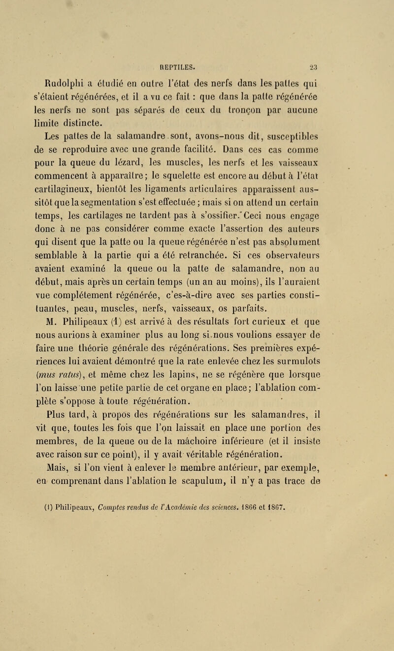 Radolplii a éludié on oulre l'état des nerfs dans les pattes qui s'étaient régénérées, et il a vu ce fait : que dans la patte régénérée les nerfs ne sont pas séparés de ceux du tronçon par aucune limite distincte. Les pattes de la salamandre sont, avons-nous dit, susceptibles de se reproduire avec une grande facilité. Dans ces cas comme pour la queue du lézard, les muscles, les nerfs et les vaisseaux commencent à apparaître; le squelette est encore au débuta l'état cartilagineux, bientôt les ligaments articulaires apparaissent aus- sitôt que la segmentation s'est efTectuée; mais si on attend un certain temps, les cartilages ne tardent pas à s'ossifier.*Ceci nous engage donc à ne pas considérer comme exacte l'assertion des auteurs qui disent que la patte ou la queue régénérée n'est pas absolument semblable à la partie qui a été retranchée. Si ces observateurs avaient examiné la queue ou la patte de salamandre, non au début, mais après un certain temps (un an au moins), ils l'auraient vue complètement régénérée, c'es-à-dire avec ses parties consti- tuantes, peau, muscles, nerfs, vaisseaux, os parfaits. M. Philipeaux (1) est arrivé à des résultats fort curieux et que nous aurions à examiner plus au long si.nous voulions essayer de faire une théorie générale des régénérations. Ses premières expé- riences lui avaient démontré que la rate enlevée chez les surmulots [mus raius), et même chez les lapins, ne se régénère que lorsque l'on laisse une petite partie de cet organe en place; l'ablation com- plète s'oppose à toute régénération. Plus tard, à propos des régénérations sur les salamandres, il vit que, toutes les fois que l'on laissait en place une portion des membres, de la queue ou de la mâchoire inférieure (et il insiste avec raison sur ce point), il y avait véritable régénération. Mais, si l'on vient à enlever le membre antérieur, par exemple, en comprenant dans l'ablation le scapulum, il n'y a pas trace de