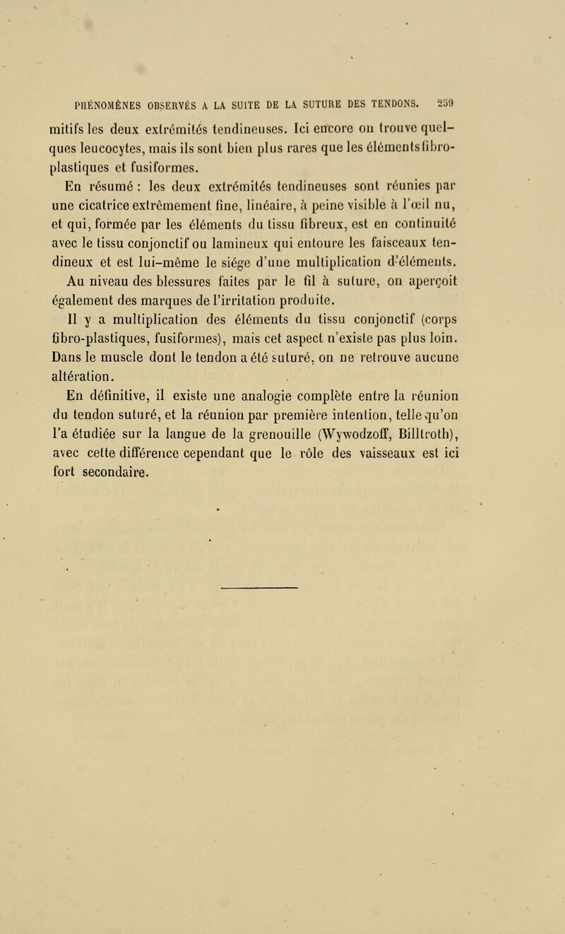 mitifslcs deux extrémités tendineuses. Ici encore on trouve quel- ques leucocytes, mais ils sont bien plus rares que les élémentsiibro- plastiques et fusiformes. En résumé : les deux extrémités tendineuses sont réunies par une cicatrice extrêmement fine, linéaire, à peine visible ù l'œil nu, et qui, formée par les éléments du tissu fibreux, est en continuité avec le tissu conjonctif ou laraineux qui entoure les faisceaux ten- dineux et est lui-même le siège d'une multiplication d'éléments. Au niveau des blessures faites par le fil à suture, on aperçoit également des marques de l'irritation produite. Il y a multiplication des éléments du tissu conjonctif (corps fibro-plastiques, fusiformes), mais cet aspect n'existe pas plus loin. Dans le muscle dont le tendon a été suturé, on ne retrouve aucune altération. En définitive, il existe une analogie complète entre la réunion du tendon suturé, et la réunion par première intention, tellequ'on Ta étudiée sur la langue de la grenouille (WywodzofT, Billtroth), avec cette différence cependant que le rôle des vaisseaux est ici fort secondaire.