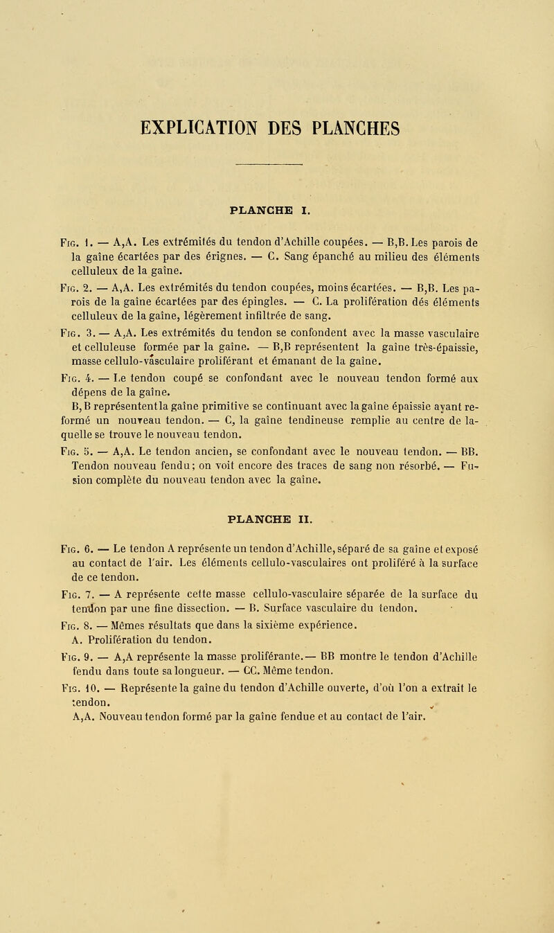 EXPLICATION DES PLANCHES PLANCHE I. FiG. 1. — A,A. Les extrémités du tendon d'Achille coupées. — B,B, Les parois de la gaîne écartées par des érignes. — G. Sang épanché au milieu des éléments celluleux de la gaîne. FiG. 2. — A,A. Les extrémités du tendon coupées, moins écartées. — B,B. Les pa- rois de la gaîne écartées par des épingles. — G. La prolifération dés éléments celluleux de la gaîne, légèrement infiltrée de sang. FiG. 3.— A,A. Les extrémités du tendon se confondent avec la masse vasculaire et celluleuse formée par la gaîne. — B,B représentent la gaîne très-épaissie, masse cellulo-vâsculaire proliférant et émanant de la gaîne. Fjg. 4. — Le tendon coupé se confondant avec le nouveau tendon formé aux dépens de la gaîne. B,B représentent la gaîne primitive se continuant avec la gaîne épaissie ayant re- formé un nouveau tendon. — G, la gaîne tendineuse remplie au centre de la- quelle se trouve le nouveau tendon. FiG. 5. — A,A, Le tendon ancien, se confondant avec le nouveau tendon. — BB. Tendon nouveau fendu; on voit encore des traces de sang non résorbé. — Fu- sion complète du nouveau tendon avec la gaîne. PLANCHE II. FiG. 6. — Le tendon A représente un tendon d'Achille, séparé de sa gaîne et exposé au contact de l'air. Les éléments cellulo-vasculaires ont proliféré à la surface de ce tendon. FiG. 7. — A représente cette masse cellulo-vasculaire séparée de la surface du tenlion par une fine dissection. — B. Surface vasculaire du tendon. FiG. 8. — Mêmes résultats que dans la sixième expérience. A. Prolifération du tendon. FiG. 9. — A,A représente la masse proliférante.— BB montre le tendon d'Achille fendu dans toute sa longueur. — CC. Même tendon. Fis. 10. — Représente la gaîne du tendon d'Achille ouverte, d'où l'on a extrait le tendon. ^ A, A. Nouveau tendon formé par la gaîne fendue et au contact de l'air.