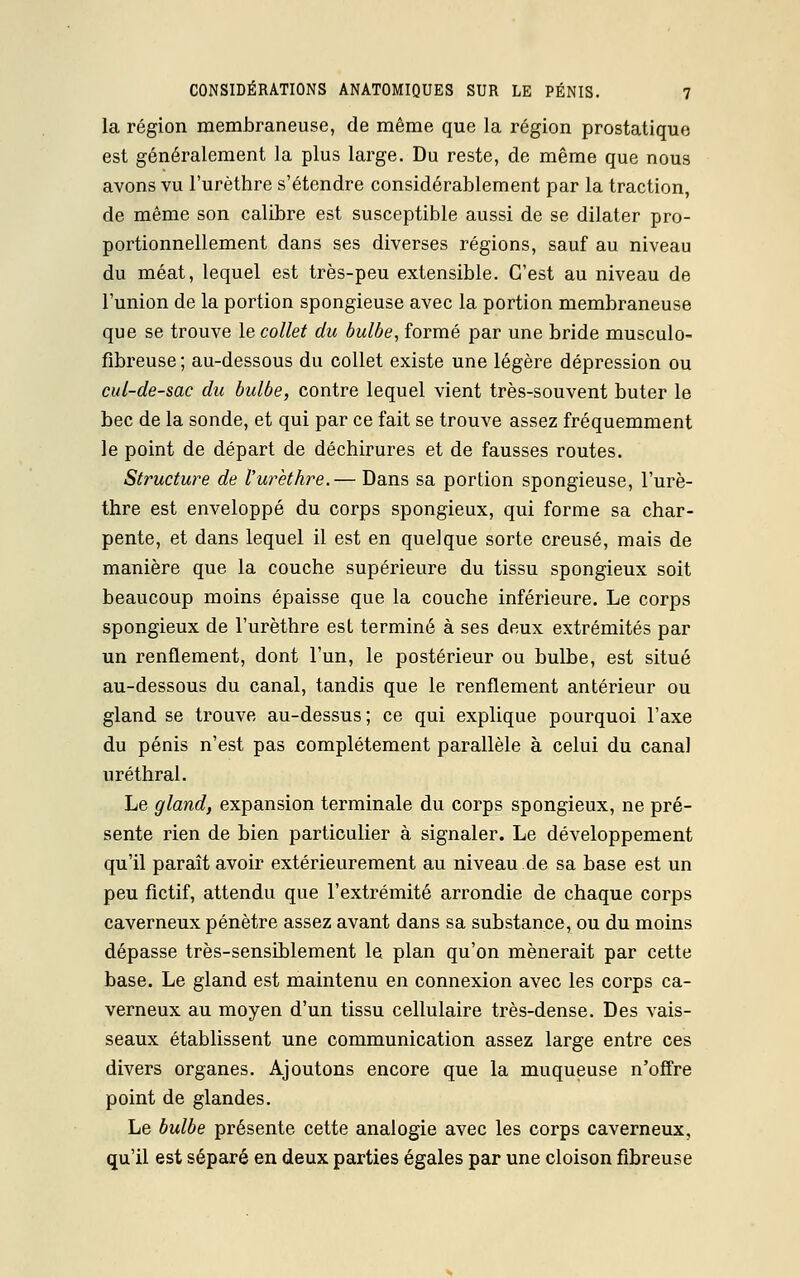 la région membraneuse, de même que la région prostatique est généralement la plus large. Du reste, de même que nous avons vu l'urèthre s'étendre considérablement par la traction, de même son calibre est susceptible aussi de se dilater pro- portionnellement dans ses diverses régions, sauf au niveau du méat, lequel est très-peu extensible. C'est au niveau de l'union de la portion spongieuse avec la portion membraneuse que se trouve le collet du bulbe, formé par une bride musculo- fibreuse ; au-dessous du collet existe une légère dépression ou cul-de-sac du bulbe, contre lequel vient très-souvent buter le bec de la sonde, et qui par ce fait se trouve assez fréquemment le point de départ de déchirures et de fausses routes. Structure de l'urèthre.— Dans sa portion spongieuse, l'urè- thre est enveloppé du corps spongieux, qui forme sa char- pente, et dans lequel il est en quelque sorte creusé, mais de manière que la couche supérieure du tissu spongieux soit beaucoup moins épaisse que la couche inférieure. Le corps spongieux de l'urèthre est terminé à ses deux extrémités par un renflement, dont l'un, le postérieur ou bulbe, est situé au-dessous du canal, tandis que le renflement antérieur ou gland se trouve au-dessus; ce qui explique pourquoi l'axe du pénis n'est pas complètement parallèle à celui du canal uréthral. Le gland, expansion terminale du corps spongieux, ne pré- sente rien de bien particulier à signaler. Le développement qu'il paraît avoir extérieurement au niveau de sa base est un peu fictif, attendu que l'extrémité arrondie de chaque corps caverneux pénètre assez avant dans sa substance, ou du moins dépasse très-sensiblement le plan qu'on mènerait par cette base. Le gland est maintenu en connexion avec les corps ca- verneux au moyen d'un tissu cellulaire très-dense. Des vais- seaux établissent une communication assez large entre ces divers organes. Ajoutons encore que la muqueuse n'offre point de glandes. Le bulbe présente cette analogie avec les corps caverneux, qu'il est séparé en deux parties égales par une cloison fibreuse