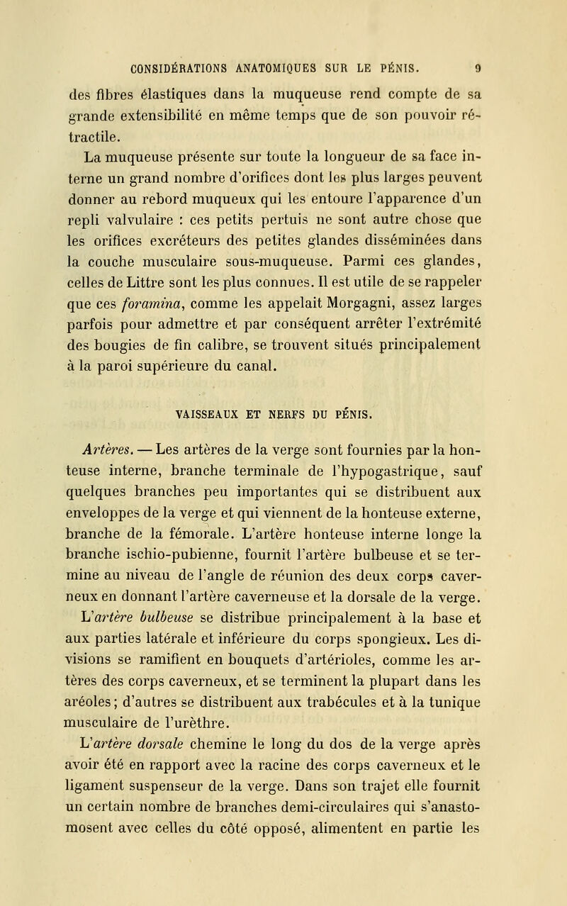 des fibres élastiques dans la muqueuse rend compte de sa grande extensibilité en même temps que de son pouvoir ré- tractile. La muqueuse présente sur toute la longueur de sa face in- terne un grand nombre d'orifices dont les plus larges peuvent donner au rebord muqueux qui les entoure l'apparence d'un repli valvulaire : ces petits pertuis ne sont autre chose que les orifices excréteurs des petites glandes disséminées dans la couche musculaire sous-muqueuse. Parmi ces glandes, celles de Littre sont les plus connues. Il est utile de se rappeler que ces foramina, comme les appelait Morgagni, assez larges parfois pour admettre et par conséquent arrêter l'extrémité des bougies de fin calibre, se trouvent situés principalement à la paroi supérieure du canal. VAISSEAUX ET NERFS DU PÉNIS. Artères. — Les artères de la verge sont fournies par la hon- teuse interne, branche terminale de l'hypogastrique, sauf quelques branches peu importantes qui se distribuent aux enveloppes de la verge et qui viennent de la honteuse externe, branche de la fémorale. L'artère honteuse interne longe la branche ischio-pubienne, fournit l'artère bulbeuse et se ter- mine au niveau de l'angle de réunion des deux corps caver- neux en donnant l'artère caverneuse et la dorsale de la verge. \Jartère bulbeuse se distribue principalement à la base et aux parties latérale et inférieure du corps spongieux. Les di- visions se ramifient en bouquets d'artérioles, comme les ar- tères des corps caverneux, et se terminent la plupart dans les aréoles ; d'autres se distribuent aux trabécules et à la tunique musculaire de l'urèthre. \ïartère dorsale chemine le long du dos de la verge après avoir été en rapport avec la racine des corps caverneux et le ligament suspenseur de la verge. Dans son trajet elle fournit un certain nombre de branches demi-circulaires qui s'anasto- mosent avec celles du côté opposé, alimentent en partie les