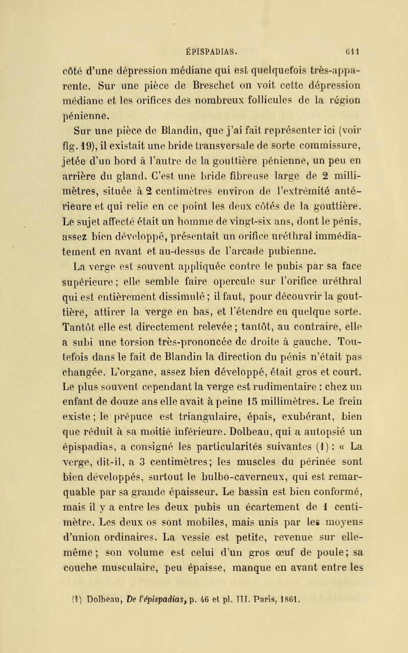 côté d'une dépression médiane qui est quelquefois très-appa- rente. Sur une pièce de Breschet on voit cette dépression médiane et les orifices des nombreux follicules de la région pénienne. Sur une pièce de Blandin, que j'ai fait représenter ici (voir fig. 19), il existait une bride transversale de sorte commissure, jetée d'un bord à l'autre de la gouttière pénienne, un peu en arrière du gland. C'est une bride fibreuse large de 2 milli- mètres, située à 2 centimètres environ de l'extrémité anté- rieure et qui relie en ce point les deux côtés de la gouttière. Le sujet affecté était un homme de vingt-six ans, dont le pénis, assez bien développé, présentait un orifice uréthral immédia- tement en avant et au-dessus de l'arcade pubienne. La verge est souvent appliquée contre le pubis par sa face supérieure ; elle semble faire opercule sur l'orifice uréthral qui est entièrement dissimulé ; il faut, pour découvrir la gout- tière, attirer la verge en bas, et l'étendre en quelque sorte. Tantôt elle est directement relevée ; tantôt, au contraire, elle a subi une torsion très-prononcée de droite à gauche. Tou- tefois dans le fait de Blandin la direction du pénis n'était pas changée. L'organe, assez bien développé, était gros et court. Le plus souvent cependant la verge est rudimentaire : chez un enfant de douze ans elle avait à peine 15 millimètres. Le frein existe ; le prépuce est triangulaire, épais, exubérant, bien que réduit à sa moitié inférieure. Dolbeau, qui a autopsié un épispadias, a consigné les particularités suivantes (1): « La verge, dit-il, a 3 centimètres; les muscles du périnée sont bien développés, surtout le bulbo-caverneux, qui est remar- quable par sa grande épaisseur. Le bassin est bien conformé, mais il y a entre les deux pubis un écartement de 1 centi- mètre. Les deux os sont mobiles, mais unis par les moyens d'union ordinaires. La vessie est petite, revenue sur elle- même ; son volume est celui d'un gros œuf de poule ; sa couche musculaire, peu épaisse, manque en avant entre les (1) Dolbeau, De F épispadias, p. 46 et pi. TTI. Paris, 1861.