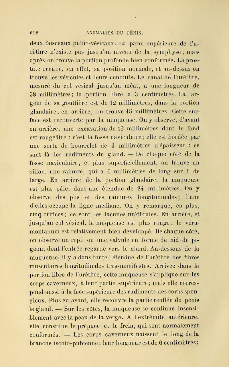 deux faisceaux pubio-vésicaux. La paroi supérieure de i'u- rèthre n'existe pas jusqu'au niveau de Ja symphyse ; mais après on trouve la portion profonde bien conformée. La pros- tate occupe, en effet, sa position normale, et au-dessus on trouve les vésicules et leurs conduits. Le canal de l'urèthre, mesuré du col vésical jusqu'au méat, a une longueur de 58 millimètres; la portion libre a 3 centimètres. La lar- geur de sa gouttière est de 12 millimètres, dans la portion glandaire; en arrière, on trouve 15 millimètres. Cette sur- face est recouverte par la muqueuse. On y observe, d'avant en arrière, une excavation de 12 millimètres dont le fond est rougeâtre : c'est la fosse naviculaire ; elle est bordée par une sorte de bourrelet de 3 millimètres d'épaisseur : ce sont là les rudiments du gland. — De chaque côté de la fosse naviculaire, et plus superficiellement, on trouve un sillon, une rainure, qui a 6 millimètres de long sur 1 de large. En arrière de la portion glandaire, la muqueuse est plus pâle, dans une étendue de 24 millimètres. On y observe des plis et des rainures longitudinales; l'une d'elles occupe la ligne médiane. On y remarque, en plus, cinq orifices; ce sont les lacunes uréthrales. En arrière, et jusqu'au col vésical, la muqueuse est plus rouge ; le véru- montanum est relativement bien développé. De chaque côté, on observe un repli ou une valvule en forme de nid de pi- geon, dont l'entrée regarde vers le gland. Au-dessous de la muqueuse, il y a dans toute l'étendue de l'urèthre des fibres musculaires longitudinales très-manifestes. Arrivée dans la portion libre de l'urèthre, cette muqueuse s'applique sur les corps caverneux, à leur partie supérieure ; mais elle corres- pond aussi à la face supérieure des rudiments des corps spon- gieux. Plus en avant, elle recouvre la partie renflée du pénis le gland. — Sur les côtés, la muqueuse se continue insensi- blement avec la peau de la verge. A l'extrémité antérieure, elle constitue le prépuce et le frein, qui sont normalement conformés. — Les corps caverneux naissent le long de la branche ischio-pubienne ; leur longueur est de 6 centimètres;