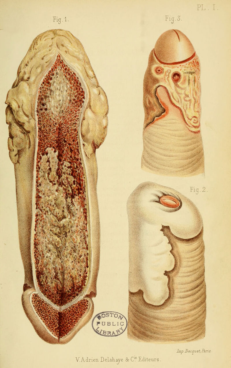 Irap JHecau et. Tkri s V.Adrien Delahaye & Cie Editeurs