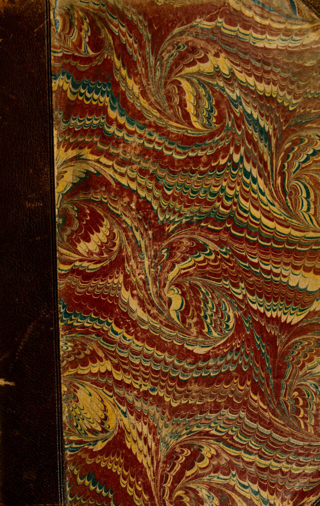 No text description is available for this image