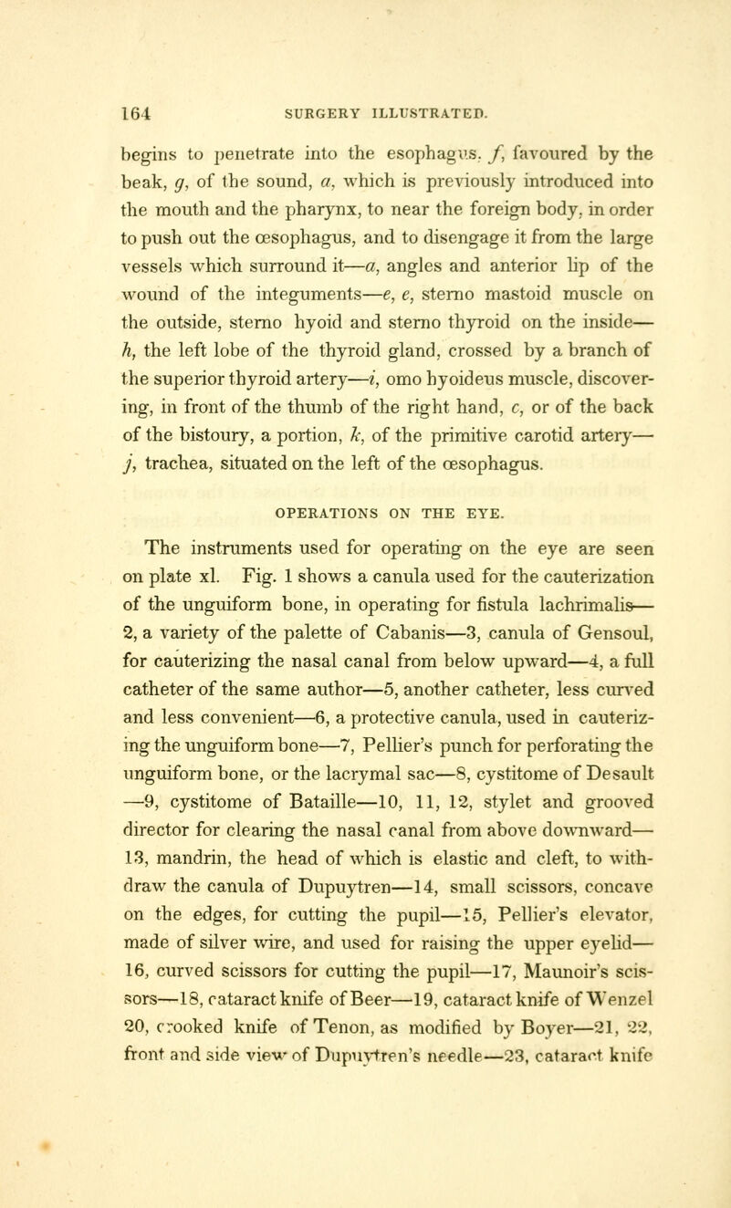 begins to penetrate into the esophagus, f, favoured by the beak, g, of the sound, a, which is previously introduced into the mouth and the pharynx, to near the foreign body, in order to push out the oesophagus, and to disengage it from the large vessels which surround it—a, angles and anterior lip of the wound of the integuments—e, e, sterno mastoid muscle on the outside, sterno hyoid and sterno thyroid on the inside— h, the left lobe of the thyroid gland, crossed by a branch of the superior thyroid artery—i, omo hyoideus muscle, discover- ing, in front of the thumb of the right hand, c, or of the back of the bistoury, a portion, Jc, of the primitive carotid artery— j, trachea, situated on the left of the oesophagus. OPERATIONS ON THE EYE. The instruments used for operating on the eye are seen on plate xl. Fig. 1 shows a canula used for the cauterization of the unguiform bone, in operating for fistula lachrimalis— 2, a variety of the palette of Cabanis—3, canula of Gensoul, for cauterizing the nasal canal from below upward—4, a full catheter of the same author—5, another catheter, less curved and less convenient—6, a protective canula, used in cauteriz- ing the unguiform bone—7, Pellier's punch for perforating the unguiform bone, or the lacrymal sac—8, cystitome of Desault —9, cystitome of Bataille—10, 11, 12, stylet and grooved director for clearing the nasal canal from above downward— 13, mandrin, the head of which is elastic and cleft, to with- draw the canula of Dupuytren—14, small scissors, concave on the edges, for cutting the pupil—15, Pellier's elevator, made of silver wire, and used for raising the upper eyelid— 16, curved scissors for cutting the pupil—17, Maunoir's scis- sors—18, cataract knife of Beer—19, cataract knife of Wenzel 20, crooked knife of Tenon, as modified by Boyer—21, 22, front and side view of Dupuvtren's needle—23, cataract knife