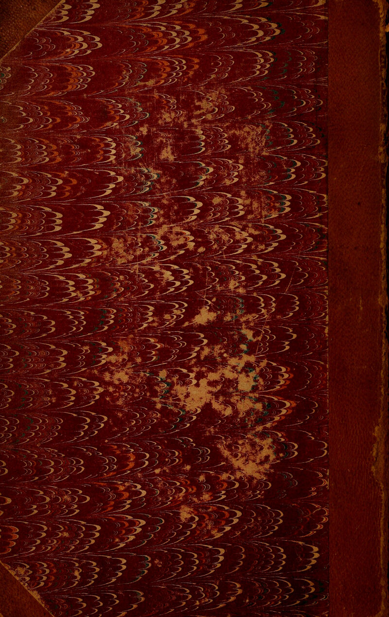 >&3 -^ ..3 $&>. ' 3 ■ -33 m % ~33 ■ S 53 3>?> 3^ 3 ?S> ' >-?3 ^ ^' j v.:l>x ^ 3 3> ^>3^> ..-3 _»3> . 2IéP ^>^> » 3i5 b :>->33 x> ^ ^^: «3^ *Ê» ' *^*- %5?3? S3■■ s * 3 -? ^ % ^ ^> ^ *. %-l^lS^ 3^3 j23 ^'- w.:^. ^^. '^v^» • 3 ^ >.*>*> *r. 3 -^ '>< ■ 3? U 3.3 3- ^