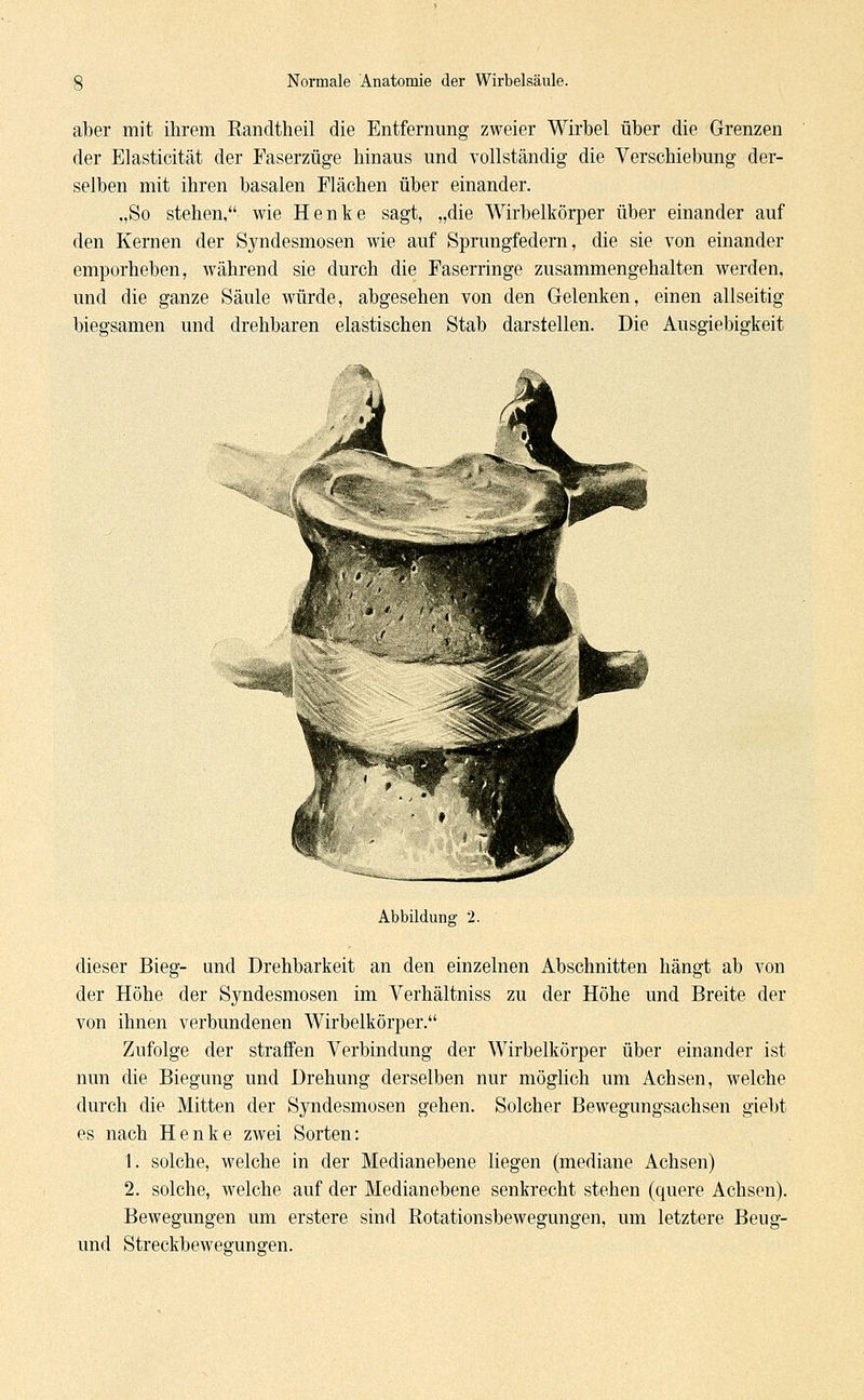 aber mit ihrem Randtheil die Entfernimg zweier Wirbel über die Grenzen der Elasticität der Faserzüge hinaus und vollständig die Verschiebung der- selben mit ihren basalen Flächen über einander. „So stehen, wie Henke sagt, „die Wirbelkörper über einander auf den Kernen der Syndesmosen wie auf Sprungfedern, die sie von einander emporheben, während sie durch die Faserringe zusammengehalten werden, und die ganze Säule würde, abgesehen von den Gelenken, einen allseitig biegsamen und drehbaren elastischen Stab darstellen. Die Ausgiebigkeit Abbildung 2. dieser Bieg- und Drehbarkeit an den einzelnen Abschnitten hängt ab von der Höhe der Syndesmosen im Verhältniss zu der Höhe und Breite der von ihnen verbundenen Wirbelkörper. Zufolge der straffen Verbindung der Wirbelkörper über einander ist nun die Biegung und Drehung derselben nur möglich um Achsen, welche durch die Mitten der Syndesmosen gehen. Solcher Bewegungsachsen giebt es nach Henke zwei Sorten: 1. solche, welche in der Medianebene liegen (mediane Achsen) 2. solche, welche auf der Medianebene senkrecht stehen (quere Achsen). Bewegungen um erstere sind Rotationsbewegungen, um letztere Beug- und Streckbewegungen.