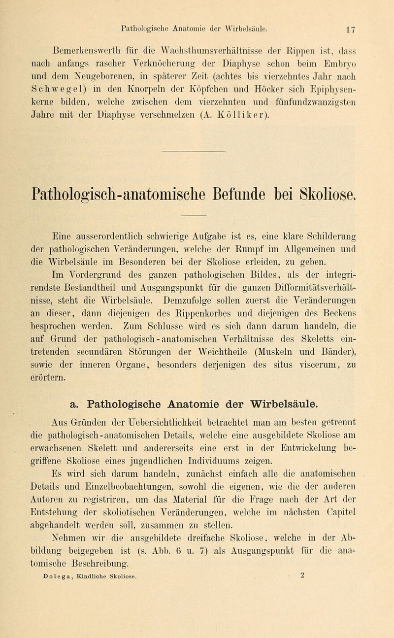 Bemerkenswert!] für die Wachsthumsverhältnisse der Rippen ist, dass nach anfangs rascher Verknöcherung der Diaphyse schon heim Embryo und dem Neugeborenen, in späterer Zeit (achtes bis vierzehntes Jahr nach Schwegel) in den Knorpeln der Köpfchen und Höcker sich Epiphysen- kerne bilden, welche zwischen dem vierzehnten und fünfundzwanzigsten Jahre mit der Diaphyse verschmelzen (A. Kölliker). Pathologisch-anatomische Befunde bei Skoliose. Eine ausserordentlich schwierige Aufgabe ist es, eine klare Schilderung der pathologischen Veränderungen, welche der Rumpf im Allgemeinen und die Wirbelsäule im Besonderen bei der Skoliose erleiden, zu geben. Im Vordergrund des ganzen pathologischen Bildes, als der integri- rendste Bestandtheil und Ausgangspunkt für die ganzen Difformitätsverhält- nisse, steht die Wirbelsäule. Demzufolge sollen zuerst die Veränderungen an dieser, dann diejenigen des Rippenkorbes und diejenigen des Beckens besprochen werden. Zum Schlüsse wird es sich dann darum handeln, die auf Grund der pathologisch - anatomischen Verhältnisse des Skeletts ein- tretenden secundären Störungen der Weichtheile (Muskeln und Bänder), sowie der inneren Organe, besonders derjenigen des situs viscerum, zu erörtern. a. Pathologische Anatomie der Wirbelsäule. Aus Gründen der Uebersichtlichkeit betrachtet man am besten getrennt die pathologisch-anatomischen Details, welche eine ausgebildete Skoliose am erwachsenen Skelett und andererseits eine erst in der Entwickelung be- griffene Skoliose eines jugendlichen Individuums zeigen. Es wird sich darum handeln, zunächst einfach alle die anatomischen Details und Einzelbeobachtungen, sowohl die eigenen, wie die der anderen Autoren zu registriren, um das Material für die Frage nach der Art der Entstehung der skoliotischen Veränderungen, welche im nächsten Capitel abgehandelt werden soll, zusammen zu stellen. Nehmen wir die ausgebildete dreifache Skoliose, welche in der Ab- bildung beigegeben ist (s. Abb. 6 u. 7) als Ausgangspunkt für die ana- tomische Beschreibung. Dolega, Kindliche Skoliose. ■ 2