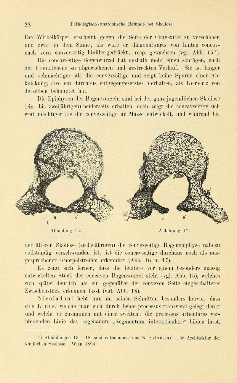 Der Wirbelkörper erscheint gegen die Seite der Convexität zu verschoben und zwar in dem Sinne, als wäre er diagonalwärts von hinten concav- nach vorn convexseitig hinübergedrückt, resp. gewachsen (vgl. Abb. 151). Die concavseitige Bogenwurzel hat deshalb mehr einen schrägen, nach der Frontalebene zu abgewichenen und gestreckten Verlauf. Sie ist länger und schmächtiger als die convexseitige und zeigt keine Spuren einer Ab- knickung, also ein durchaus entgegengesetztes Verhalten, als Lorenz von derselben behauptet hat. Die Epiphysen der Bogenwurzeln sind bei der ganz jugendlichen Skoliose (ein- bis zweijährigen) beiderseits erhalten, doch zeigt die concavseitige sich weit mächtiger als die convexseitige an Masse entwickelt, und während bei Abbildung- 16. Abbildung' 1 der älteren Skoliose (sechsjährigen) die convexseitige Bogenepiplryse nahezu vollständig verschwunden ist, ist die concavseitige durchaus noch als aus- gesprochener Knorpelstreifen erkennbar (Abb. IG u. 17). Es zeigt sich ferner, dass die letztere vor einem besonders massig entwickelten Stück der concaven Bogenwurzel steht (vgl. Abb. 15), welches sich später deutlich als ein gegenüber der convexen Seite eingeschaltetes Zwischenstück erkennen lässt (vgl. Abb. 18). Nicoladoni hebt nun an seinen Schnitten besonders hervor, dass die Linie, welche man sich durch beide processus transversi gelegt denkt und welche er zusammen mit einer zweiten, die processus articulares ver- bindenden Linie das sogenannte „Segmentuni interarticulare bilden lässt, 1) Abbildungen 15—18 sind entnommen aus Nicoladoni, Die Architektur der kindlichen Skoliose. Wien 1894.