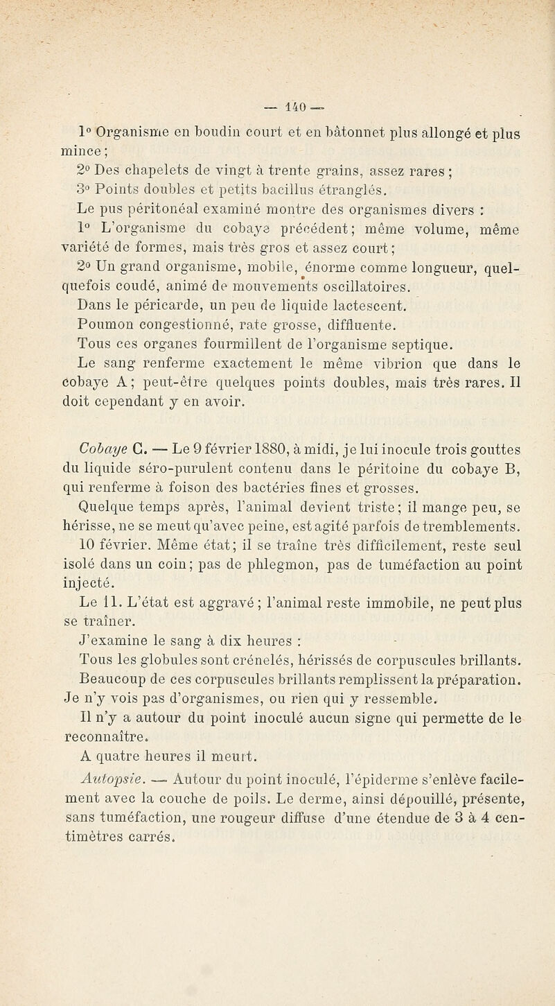 _ 140-— 1° Organisme en boudin court et en bâtonnet plus allongé et plus mince ; 2° Des chapelets de vingt à trente grains, assez rares ; 3° Points doubles et petits bacillus étranglés. Le pus péritonéal examiné montre des organismes divers : 1° L'organisme du cobaye précédent; même volume, même variété de formes, mais très gros et assez court; 2» Un grand organisme, mobile, énorme comme longueur, quel- quefois coudé, animé de mouvements oscillatoires. Dans le péricarde, un peu de liquide lactescent. Poumon congestionné, rate grosse, diffluente. Tous ces organes fourmillent de l'organisme septique. Le sang renferme exactement le même vibrion que dans le cobaye A; peut-être quelques points doubles, mais très rares. Il doit cependant y en avoir. Cobaye G. — Le 9 février 1880, à midi, je lui inocule trois gouttes du liquide séro-purulent contenu dans le péritoine du cobaye B, qui renferme à foison des bactéries fines et grosses. Quelque temps après, l'animal devient triste; il mange peu, se hérisse, ne se meut qu'avec peine, est agité parfois de tremblements. 10 février. Même état; il se traîne très difficilement, reste seul isolé dans un coin; pas de phlegmon, pas de tuméfaction au point injecté. Le IL L'état est aggravé ; l'animal reste immobile, ne peut plus se traîner. J'examine le sang à dix heures : Tous les globules sont crénelés, hérissés de corpuscules brillants. Beaucoup de ces corpuscules brillants remplissent la préparation. Je n'y vois pas d'organismes, ou rien qui y ressemble. 11 n'y a autour du point inoculé aucun signe qui permette de le reconnaître. A quatre heures il meurt. Autopsie. —. Autour du point inoculé, l'épiderme s'enlève facile- ment avec la couche de poiis. Le derme, ainsi dépouillé, présente, sans tuméfaction, une rougeur difi'use d'une étendue de 3 à 4 cen- timètres carrés.