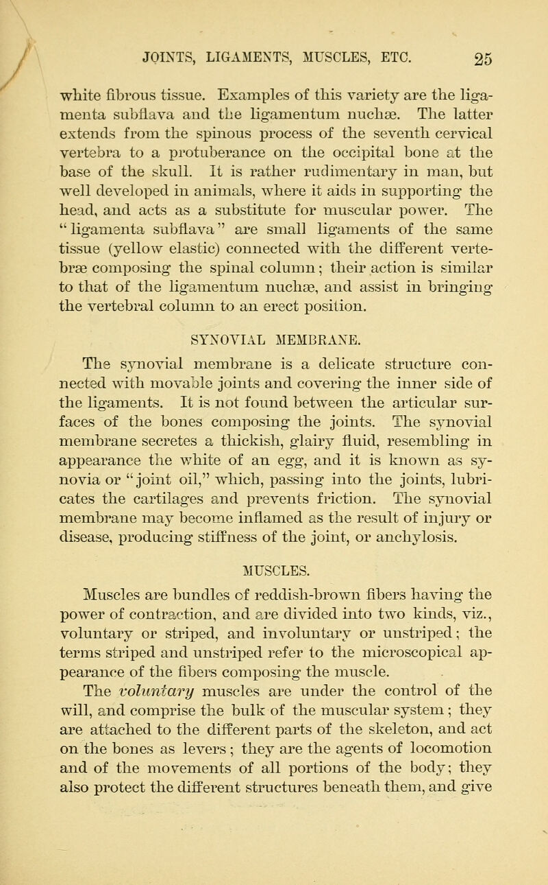 white fibrous tissue. Examples of this variety are the liga- menta subfiava and the ligamentum nuchse. The latter extends from the spinous process of the seventh cervical vertebra to a protuberance on the occipital bone at the base of the skull. It is rather rudimentary in man, but well developed in animals, where it aids in supporting the head, and acts as a substitute for muscular power. The ligamenta subflava are small ligaments of the same tissue (yellow elastic) connected with the difPerent verte- brae composing the spinal column; their action is similar to that of the ligamentum nuchas, and assist in bringing the vertebral column to an erect position. SYNOVIAL MEMBRANE. The synovial membrane is a delicate structure con- nected with movable joints and covering the inner side of the ligaments. It is not found between the articular sur- faces of the bones composing the joints. The synovial membrane secretes a thickish, glairy fluid, resembling in appearance the white of an egg, and it is known as sy- novia or joint oil, which, passing into the joints, lubri- cates the cartilages and prevents friction. The synovial membrane may become inflamed as the result of injury or disease, i)roducing stiffness of the joint, or anchylosis. MUSCLES. Muscles are bundles of reddish-brown fibers having the power of contraction, and are divided into two kinds, viz., voluntary or striped, and involuntary or unstriped; the terms striped and unstriped refer to the microscopical ap- pearance of the fibers comx30sing the muscle. The voluntary muscles are under the control of the will, and comprise the bulk of the muscular system; they are attached to the different parts of the skeleton, and act on the bones as levers ; they are the agents of locomotion and of the movements of all portions of the body; they also protect the difPerent structures beneath them, and give