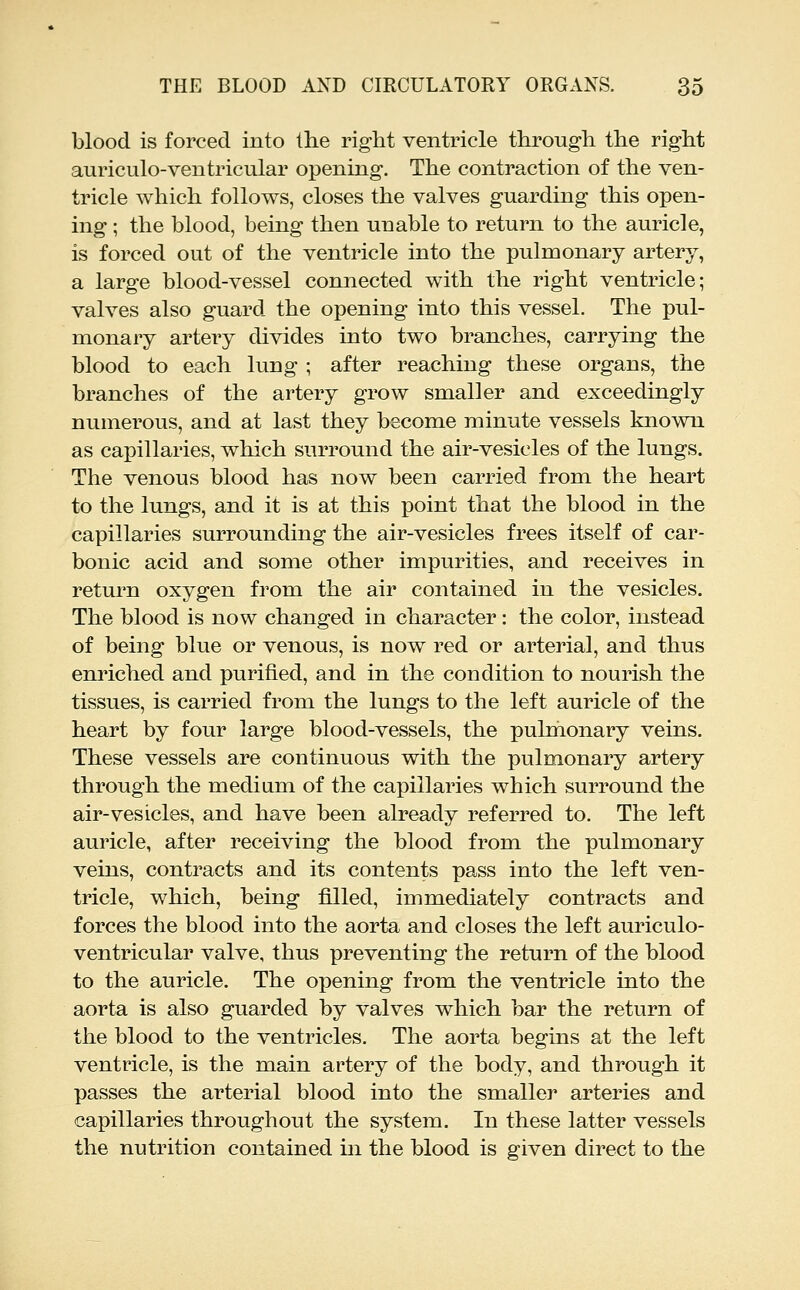 blood is forced into the right ventricle through the right auriculo-ventricular opening. The contraction of the ven- tricle which follows, closes the valves guarding this open- ing ; the blood, being then unable to return to the auricle, is forced out of the ventricle into the pulmonary artery, a large blood-vessel connected with the right ventricle; valves also guard the opening into this vessel. The pul- monary artery divides into two branches, carrying the blood to each lung ; after reaching these organs, the branches of the artery grow smaller and exceedingly numerous, and at last they become minute vessels known as capillaries, which surround the air-vesicles of the lungs. The venous blood has now been carried from the heart to the lungs, and it is at this point that the blood in the capillaries surrounding the air-vesicles frees itself of car- bonic acid and some other impurities, and receives in return oxygen from the air contained in the vesicles. The blood is now changed in character: the color, instead of being blue or venous, is now red or arterial, and thus enriched and purified, and in the condition to nourish the tissues, is carried from the lungs to the left auricle of the heart by four large blood-vessels, the pulmonary veins. These vessels are continuous with the pulmonary artery through the medium of the capillaries which surround the air-vesicles, and have been already referred to. The left auricle, after receiving the blood from the pulmonary veins, contracts and its contents pass into the left ven- tricle, which, being filled, immediately contracts and forces the blood into the aorta and closes the left auriculo- ventricular valve, thus preventing the return of the blood to the auricle. The opening from the ventricle into the aorta is also guarded by valves which bar the return of the blood to the ventricles. The aorta begins at the left ventricle, is the main artery of the body, and through it passes the arterial blood into the smaller arteries and capillaries throughout the system. In these latter vessels the nutrition contained in the blood is given direct to the
