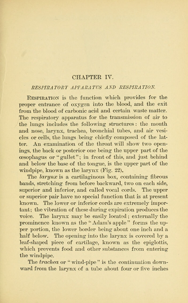 RESPIRATORY APPARATUS AND RESPIRATION. Respiration is the function wliich provides for the proper entrance of oxygen into the blood, and the exit from the blood of carbonic acid and certain waste matter. The respiratory apparatus for the transmission of air to the lungs includes the following structures : the mouth and nose, larynx, trachea, bronchial tubes, and air vesi- cles or cells, the lungs being chiefly composed of the lat- ter. An examination of the throat will show two open- ings, the back or posterior one being the upper part of the oesophagus or gullet; in front of this, and just behind and below the base of the tongue, is the upper part of the windpipe, known as the larynx (Fig. 22). The larynx is a cartilaginous box, containing fibrous bands, stretching from before backward, two on each side, superior and inferior, and called vocal cords. The upper or superior pair have no special function that is at present known. The lower or inferior cords are extremely impor- tant; the vibration of these during expiration produces the voice. The larynx may be easily located; externally the prominence known as the  Adam's apple  forms the up- X3er portion, the lower border being about one inch and a half below. The ox3ening into the larynx is covered by a leaf-shaped piece of cartilage, known as the epiglottis, which prevents food and other substances from entering the windpipe. The trachea or  wind-pipe  is the continuation down- ward from the laiynx of a tube about four or five inches