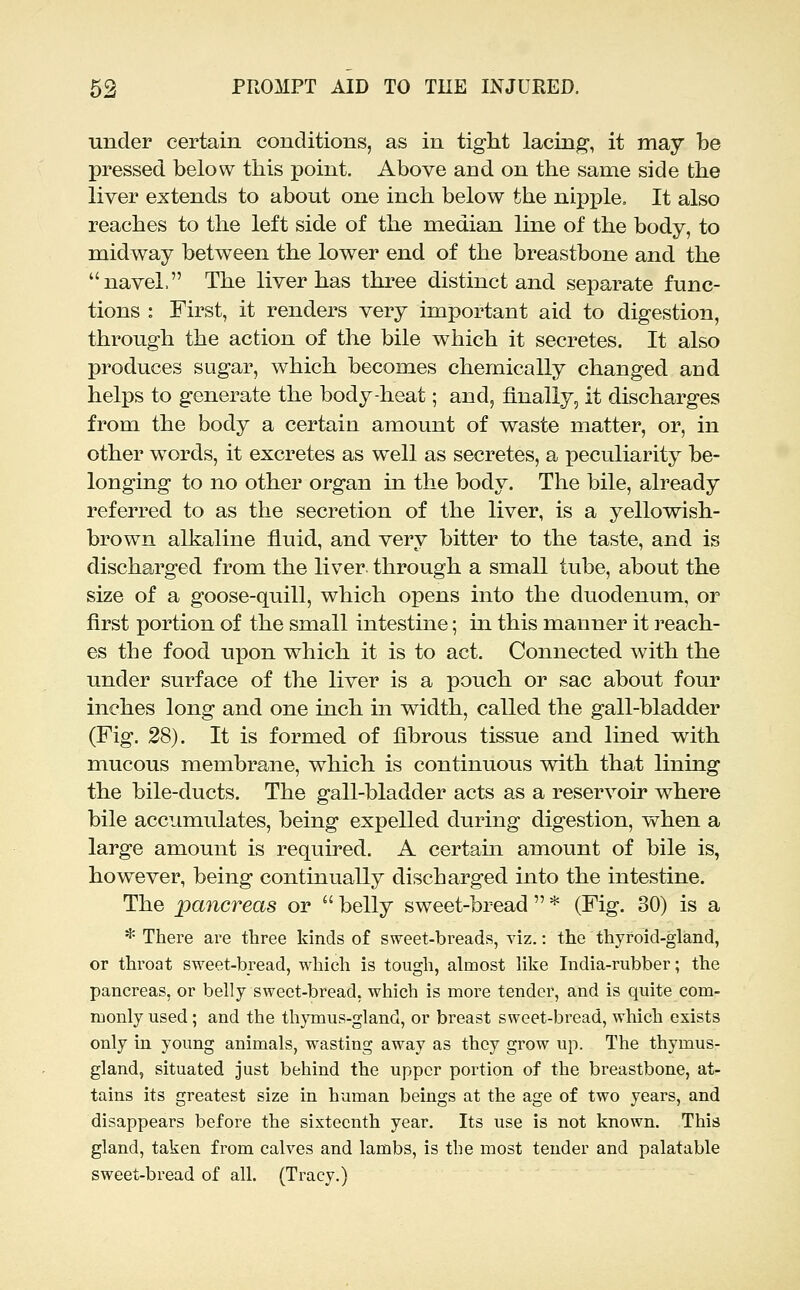 under certain conditions, as in tight lacing, it may be pressed below this point. Above and on the same side the liver extends to about one inch below the nipj^le. It also reaches to the left side of the median line of the body, to midway between the lower end of the breastbone and the navel. The liver has three distinct and separate func- tions : First, it renders very important aid to digestion, through the action of the bile which it secretes. It also produces sugar, which becomes chemically changed and helps to generate the body-heat; and, finally, it discharges from the body a certain amount of waste matter, or, in other words, it excretes as well as secretes, a peculiarity be- longing to no other organ in the body. The bile, already referred to as the secretion of the liver, is a yellowish- brown alkaline fluid, and very bitter to the taste, and is discharged from the liver through a small tube, about the size of a goose-quill, which opens into the duodenum, or first portion of the small intestine; in this manner it reach- es the food upon which it is to act. Connected with the under surface of the liver is a pouch or sac about four inches long and one inch in width, called the gall-bladder (Fig. 28). It is formed of fibrous tissue and lined with mucous membrane, which is continuous with that lining the bile-ducts. The gall-bladder acts as a reservoir where bile accumulates, being expelled during digestion, when a large amount is required. A certain amount of bile is, however, being continually discharged into the intestine. The pancreas or  belly sweet-bread  * (Fig. 30) is a * There are three kinds of sweet-breads, viz.: the thyroid-gland, or throat sweet-bread, which is tough, almost like India-rubber; the pancreas, or belly sweet-bread, which is more tender, and is quite com- monly used; and the thymus-gland, or breast sweet-bread, which exists only in young animals, wasting away as they grow up. The thymus- gland, situated just behind the upper portion of the breastbone, at- tains its greatest size in human beings at the age of two years, and disappears before the sixteenth year. Its use is not known. This gland, taken from calves and lambs, is the most tender and palatable sweet-bread of all, (Tracy.)