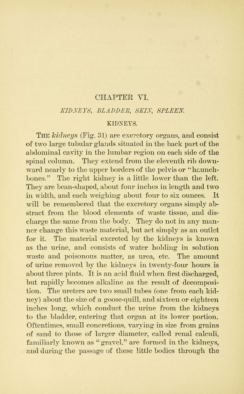 KIDNEY&, BLADDER, SKIX, SPLEEN. KIDNEYS. The hidneys (Fig*. 81) are excretory organs, and consist of two large tubular glands situated in the back part of the abdominal cavity in the lumbar region on each side of the spinal column. They extend from the eleventh rib down- ward nearly to the ujDper borders of the pelvis or haunch- bones. The right kidney is a little lower than the left. They are bean-shaped, about four inches in length and two m width, and each weighing about four to six ounces. It will be remembered that the excretory organs simply ab- stract from the blood elements of waste tissue, and dis- charge the same from the body. They do not in any man- ner change this waste material, but act simply as an outlet for it. The material excreted by the kidneys is known as the urine, and consists of water holding in solution waste and poisonous matter, as urea, etc. The amount of urine removed by the kidneys in twenty-four hours is about three pints. It is an acid fluid when first discharged, but rapidly becomes alkaline as the result of decomposi- tion. The ureters are two small tubes (one from each kid- ney) about the size of a goose-quill, and sixteen or eighteen inches long, which conduct the urine from the kidneys to the bladder, entering that organ at its lower portion. Oftentimes, small concretions, varying in size from grains of sand to those of larger diameter, called renal calculi, familiarly known as  gravel, are formed in the kidneys, and during the passage of these little bodies through the