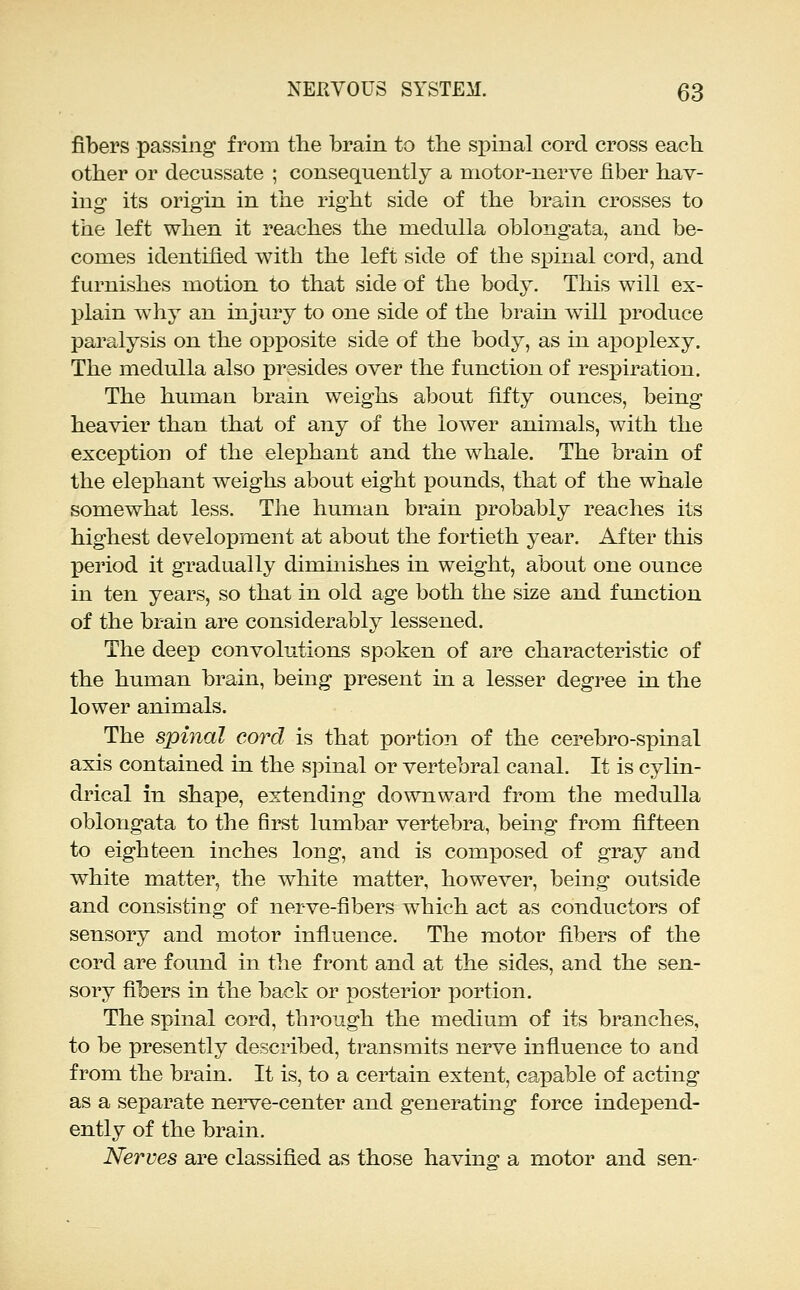 fibers passing from the brain to the spinal cord cross each other or decussate ; consequently a motor-nerve fiber hav- ing its origin in the right side of the brain crosses to the left when it reaches the medulla oblongata, and be- comes identified with the left side of the sioinal cord, and furnishes motion to that side of the body. This will ex- plain why an injury to one side of the brain will produce paralysis on the opposite side of the body, as in ajDoplexy. The medulla also presides over the function of respiration. The human brain weighs about fifty ounces, being heavier than that of any of the lower animals, with the exception of the elephant and the whale. The brain of the elephant weighs about eight pounds, that of the whale somewhat less. The human brain probably reaches its highest development at about the fortieth year. After this period it gradually diminishes in weight, about one ounce in ten years, so that in old age both the size and function of the brain are considerably lessened. The deep convolutions spoken of are characteristic of the human brain, being present in a lesser degree in the lower animals. The spinal cord is that portion of the cerebro-spinal axis contained in the spinal or vertebral canal. It is cylin- drical in shape, extending downward from the medulla oblongata to the first lumbar vertebra, being from fifteen to eighteen inches long, and is composed of gray and white matter, the white matter, however, being outside and consisting of nerve-fibers which act as conductors of sensory and motor influence. The motor fibers of the cord are found in the front and at the sides, and the sen- sory fibers in the back or posterior portion. The spinal cord, through the medium of its branches, to be presently described, transmits nerve influence to and from the brain. It is, to a certain extent, capable of acting as a separate nerve-center and generating force independ- ently of the brain. Nerves are classified as those havinsr a motor and sen-