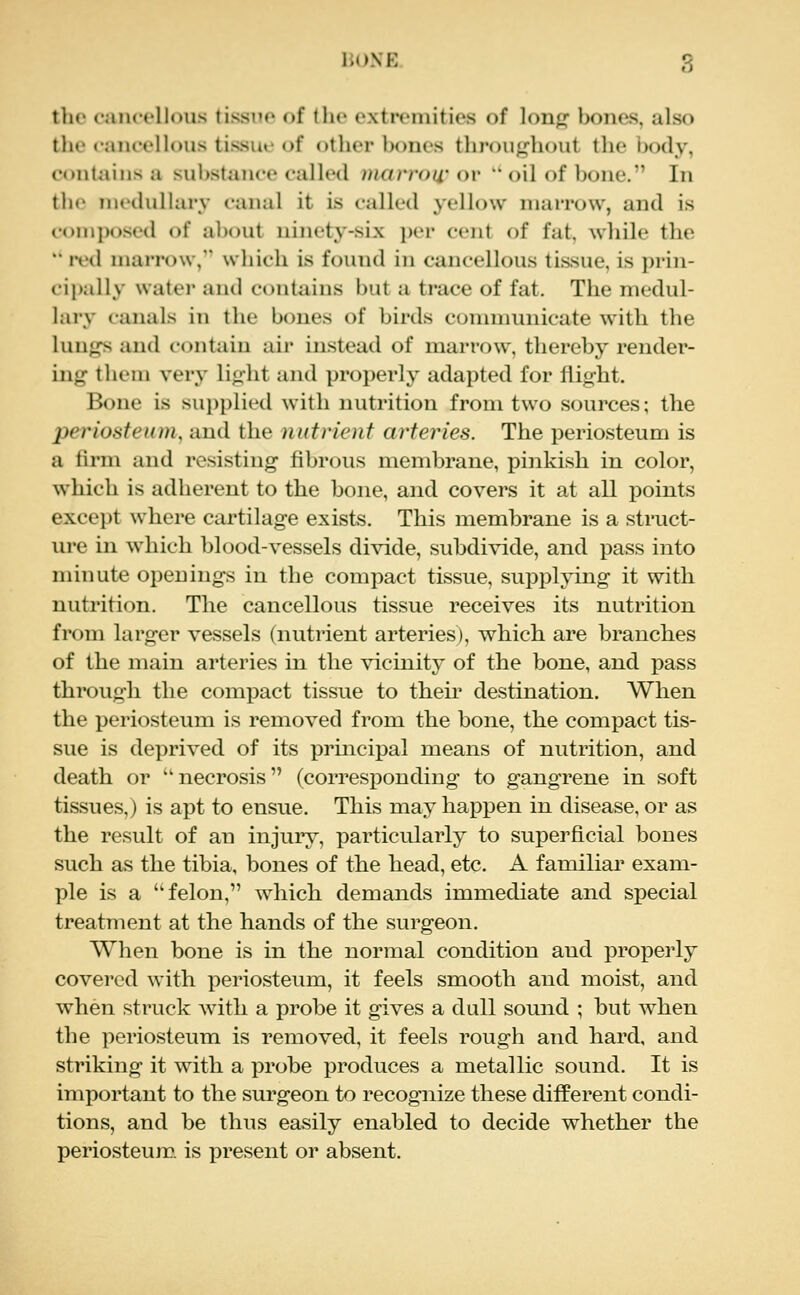 the caiu-ellous tissno of the extremities of lonpf hones, also the cancelk>us tissue of other hones throughout the body, contains a suhstance called marrow or  oil of bone. In the nu'dullarv canal it is called yellow marrow, and is composed of al)()ut ninety-six per cent of fat, wliile the ** i*ed marrow, wliich is found in cancellous tissue, is prin- cipally water and contains but a trace of fat. The medul- lai*y canals in the bones of birds communicate with the lungs and contain air instead of marrow, thereby render- ing them very light and properly adapted for flight. Bone is supplied with nutrition from two sources; the periosteum, and the nutrient arteries. The periosteum is a firm and resisting fibrous membrane, pinkish in color, which is adherent to the bone, and covers it at all points except where cartilage exists. This membrane is a struct- ure in which blood-vessels divide, subdivide, and pass into minute openings in the compact tissue, supplying it with nutrition. The cancellous tissue receives its nutrition from larger vessels (nutrient arteries), which are branches of the main arteries in the vicinity of the bone, and pass through the compact tissue to their destination. When the periosteum is removed from the bone, the compact tis- sue is deprived of its principal means of nutrition, and death or ' necrosis (corresponding to gangrene in soft tissues,) is apt to ensue. This may happen in disease, or as the result of an injury, particularly to superficial bones such as the tibia, bones of the head, etc. A familiar exam- ple is a felon, which demands immediate and special treatment at the hands of the surgeon. When bone is in the normal condition and properly covered with periosteum, it feels smooth and moist, and when struck with a probe it gives a dull sound ; but when the periosteum is removed, it feels rough and hard, and striking it with a probe produces a metallic sound. It is important to the surgeon to recognize these different condi- tions, and be thus easily enabled to decide whether the periosteum is present or absent.