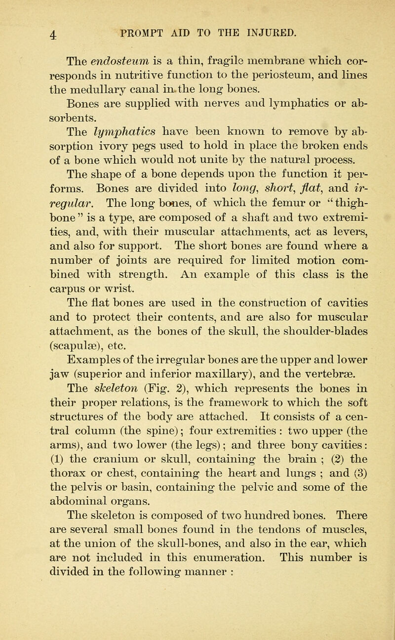 The endosteum is a thin, fragile inembrane which cor- responds in nutritive function to the periosteum, and lines the medullary canal in. the long bones. Bones are supplied with nerves and lymphatics or ab- sorbents. The lymphatics have been known to remove by ab- sorption ivory pegs used to hold in place the broken ends of a bone which would not unite by the natural process. The shape of a bone depends upon the function it per- forms. Bones are divided into long, short, flat, and ir- regular. The long bones, of which the femur or  thigh- bone  is a type, are composed of a shaft and two extremi- ties, and, with their muscular attachments, act as levers, and also for support. The short bones are found where a number of joints are required for limited motion com- bined with strength. An example of this class is the carpus or wrist. The flat bones are used in the construction of cavities and to protect tbeir contents, and are also for muscular attachment, as the bones of the skull, the shoulder-blades (scapulae), etc. Examples of the irregular bones are the upper and lower jaw (superior and inferior maxillary), and the vertebrae. The skeleton (Fig. 2), which represents the bones in their proper relations, is the framework to which the soft structures of the body are attached. It consists of a cen- tral column (the spine); four extremities : two upper (the arms), and two lower (the legs); and three bony cavities: (1) the cranium or skull, containing the brain ; (2) the thorax or chest, containing the heart and lungs ; and (3) the pelvis or basin, containing the pelvic and some of the abdominal organs. The skeleton is composed of two hundred bones. There are several small bones found in the tendons of muscles, at the union of the skull-bones, and also in the ear, which are not included in this enumeration. This number is divided in the following manner :