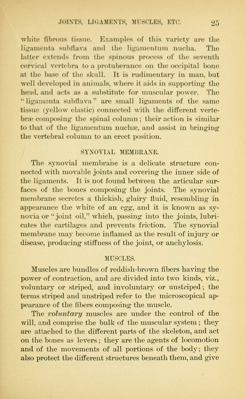 wliitc (ihrous tissue. Kxainplcs of tliis variety are the Ii;4ainenta sul)jlava and the li<^aiiieiitiuii nucha. The hitter extends I'l-oni the spinous process of tlie seventh cervical vertebra to a protuberance on the occipital bone at the base of tlie skuU. It is rudimentary in man, but well developed in animals, where it aids in supporting the head, and acts as a substitute for muscular power. The ''ligamenta subfiava'' are small ligaments of the same tissue (yellow elastic) connected with the different verte- bra? composing the spinal column; their action is similar to that of the ligamentum nuchae, and assist in bringing the vertebral column to an erect position. SYNOVIAL MEMBRANE. Tlie synovial membrane is a delicate structure con- nected with movable joints and covering the inner side of the ligaments. It is not found between the articular sur- faces of the bones composing the joints. The synovial membrane secretes a thickish, glairy fluid, resembling in appearance the white of an egg^ and it is known as sy- novia or joint oil, which, passing into the joints, lubri- cates the cartilages and prevents friction. The synovial membrane may become inflamed as the result of injury or disease, producing stiffness of the joint, or anchylosis. MUSCLES. Muscles are bundles of reddish-brown fibers having the power of contraction, and are divided into two kinds, viz., voluntary or striped, and involuntary or unstriped; the terms striped and unstriped refer to the microscopical ap- pearance of the fibers comxDosing the muscle. The voluntary muscles are under the control of the will, and comprise the bulk of the muscular system; they are attached to the different parts of the skeleton, and act on the bones as levers ; they are the agents of locomotion and of the movements of all portions of the body; they also protect the different structures beneath them, and give