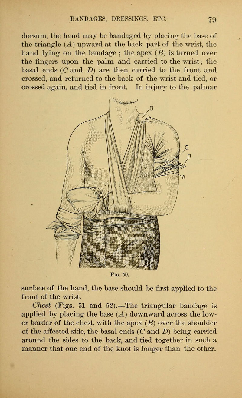 dorsum, the hand may be bandaged by placing the base of the triangle (A) upward at the back part of the wrist, the hand lying on the bandage ; the apex (B) is turned over the fingers upon the palm and carried to the wrist; the basal ends (C and D) are then carried to the front and crossed, and returned to the back of the wrist and tied, or crossed again, and tied in front. In injury to the palmar Fig. 50. surface of the hand, the base should be first applied to the front of the wrist. Chest (Figs. 51 and 52).—The triangular bandage is applied by placing the base (A) downward across the low- er border of the chest, with the apex (B) over the shoulder of the affected side, the basal ends (C and D) being carried around the sides to the back, and tied together in such a manner that one end of the knot is longer than the other.