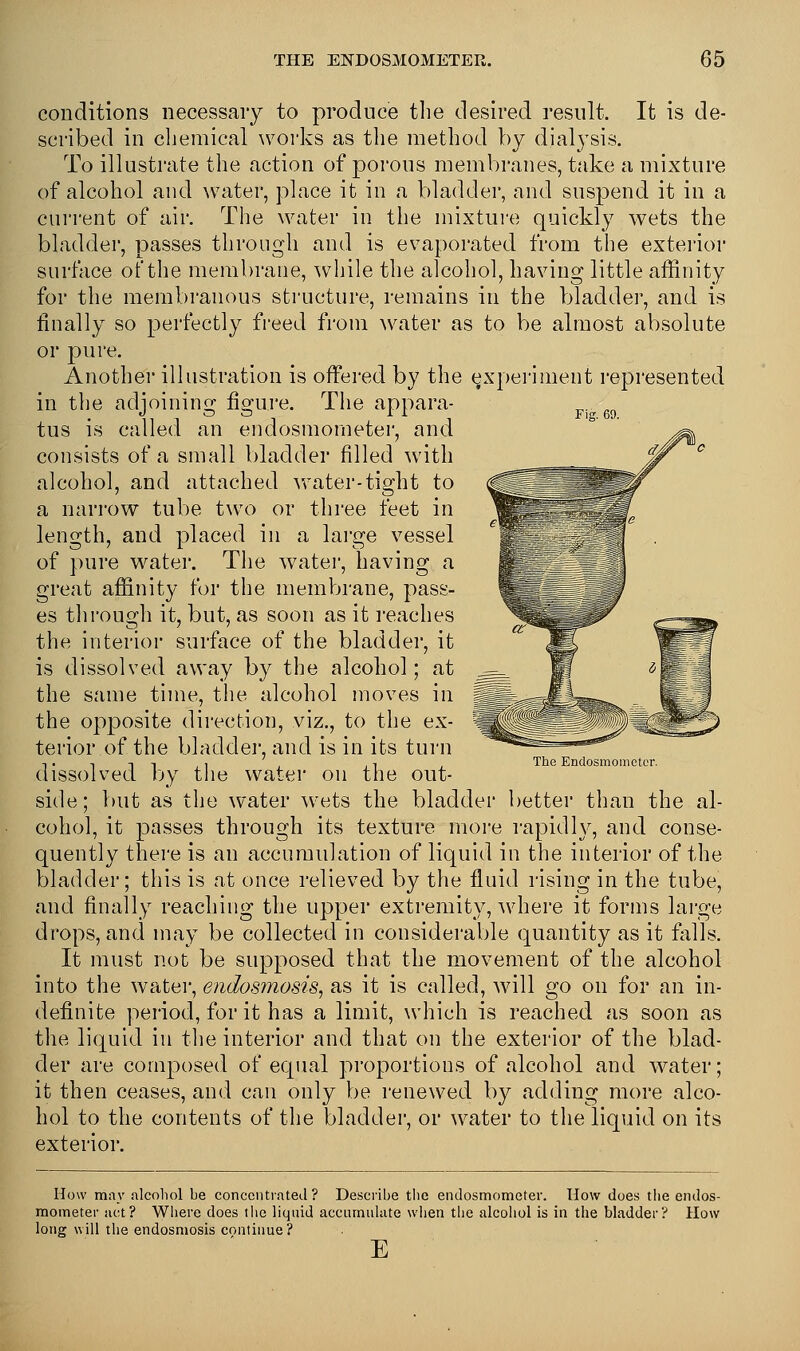 Fig. 69. conditions necessary to produce the desired result. It is de- scribed in chemical works as the method by dialysis. To illustrate the action of porous membranes, take a mixture of alcohol and water, place it in a bladder, and suspend it in a current of air. The water in the mixture quickly wets the bladder, passes through and is evaporated from the exterior surface of the membrane, while the alcohol, having little affinity for the membranous structure, remains in the bladder, and is finally so perfectly freed from water as to be almost absolute or pure. Another illustration is offered by the experiment represented in the adjoining figure. The appara- tus is called an endosmometer, and consists of a small bladder filled with alcohol, and attached water-tight to a narrow tube two or three feet in length, and placed in a large vessel of pure water. The water, having a great affinity for the membrane, pass- es through it, but, as soon as it reaches the interior surface of the bladder, it is dissolved away by the alcohol; at the same time, the alcohol moves in the opposite direction, viz., to the ex- terior of the bladder, and is in its turn dissolved by the water on the out- side; but as the water wets the bladder better than the al- cohol, it passes through its texture more rapidly, and conse- quently there is an accumulation of liquid in the interior of the bladder; this is at once relieved by the fluid rising in the tube, and finally reaching the upper extremity, where it forms large drops, and may be collected in considerable quantity as it falls. It must not be supposed that the movement of the alcohol into the water, endosmosis, as it is called, will go on for an in- definite period, for it has a limit, which is reached as soon as the liquid in the interior and that on the exterior of the blad- der are composed of equal proportions of alcohol and water; it then ceases, and can only be renewed by adding more alco- hol to the contents of the bladder, or water to the liquid on its exterior. The Endosmometer. How may alcohol be concentrated ? Describe the endosmometer. How does the endos- mometer act? Where does the liquid accumulate when the alcohol is in the bladder? How long will the endosmosis continue? E