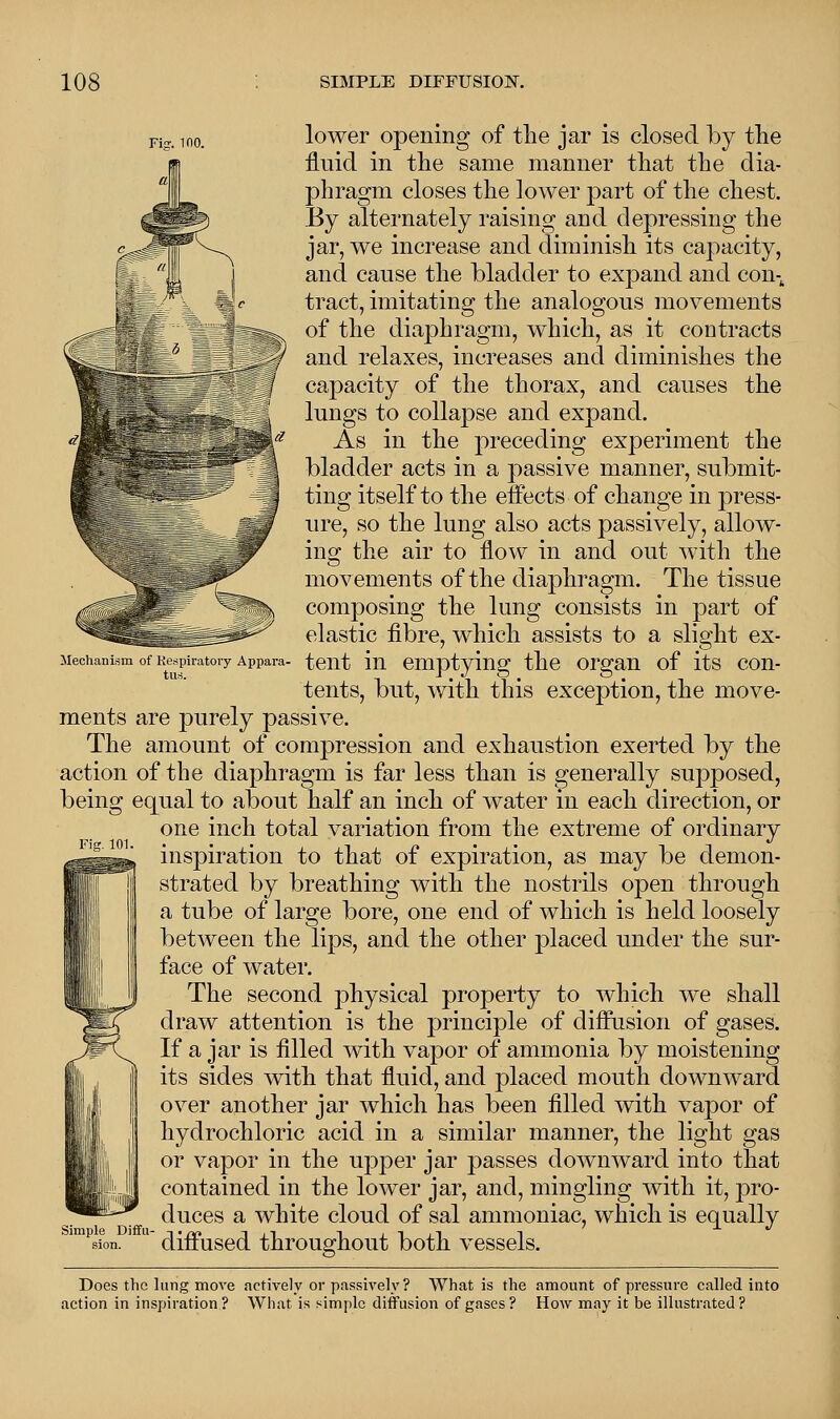 Mechanism lower opening of the jar is closed by the fluid in the same manner that the dia- phragm closes the lower part of the chest. By alternately raising and depressing the jar, we increase and diminish its capacity, and cause the bladder to expand and con-, tract, imitating the analogous movements of the diaphragm, which, as it contracts and relaxes, increases and diminishes the capacity of the thorax, and causes the lungs to collapse and expand. As in the preceding experiment the bladder acts in a passive manner, submit- ting itself to the effects of change in press- ure, so the lung also acts passively, allow- ing the air to flow in and out with the movements of the diaphragm. The tissue composing the lung consists in part of elastic fibre, which assists to a slight ex- f Respiratory Appara. tent in emptying the organ of its con- tents, but, with this exception, the move- ments are purely passive. The amount of compression and exhaustion exerted by the action of the diaphragm is far less than is generally supposed, being equal to about half an inch of water in each direction, or one inch total variation from the extreme of ordinary inspiration to that ot expiration, as may be demon- strated by breathing with the nostrils open through a tube of large bore, one end of which is held loosely between the lips, and the other placed under the sur- face of water. The second physical property to which we shall draw attention is the principle of diffusion of gases. If a jar is filled with vapor of ammonia by moistening its sides with that fluid, and placed mouth downward over another jar which has been filled with vapor of hydrochloric acid in a similar manner, the light gas or vapor in the upper jar passes downward into that contained in the lower jar, and, mingling with it, ]3ro- duces a white cloud of sal ammoniac, which is equally diffused throughout both vessels. Simple Diffu sion. Does the lung move actively or passively ? What is the amount of pressure called into action in inspiration? What is simple diffusion of gases? How may it be illustrated?