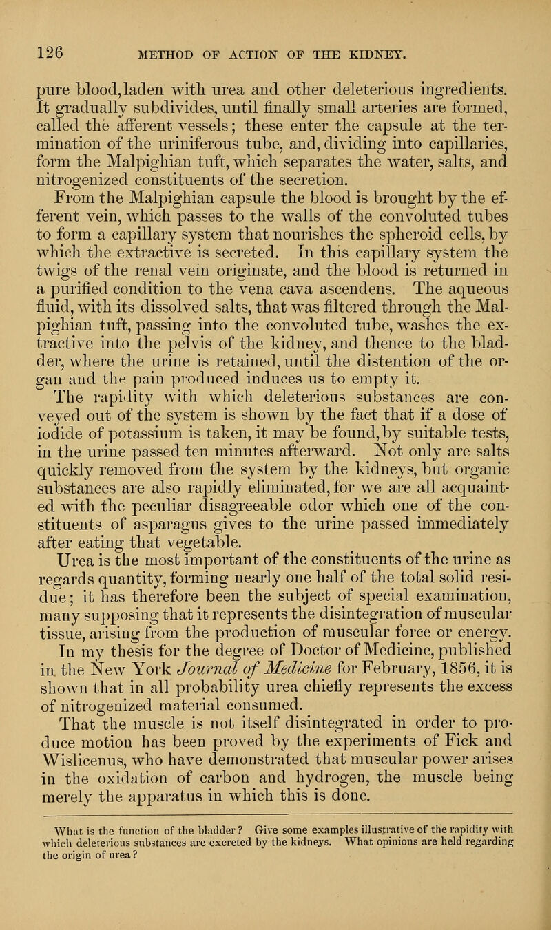 pure blood, laden with urea and other deleterious ingredients. It gradually subdivides, until finally small arteries are formed, called the afferent vessels; these enter the capsule at the ter- mination of the uriniferous tube, and, dividing into capillaries, form the Malpighian tuft, which separates the water, salts, and nitrogenized constituents of the secretion. From the Malpighian capsule the blood is brought by the ef- ferent vein, which passes to the walls of the convoluted tubes to form a capillary system that nourishes the spheroid cells, by which the extractive is secreted. In this capillary system the twigs of the renal vein originate, and the blood is returned in a purified condition to the vena cava ascendens. The aqueous fluid, with its dissolved salts, that was filtered through the Mal- pighian tuft, passing into the convoluted tube, washes the ex- tractive into the pelvis of the kidney, and thence to the blad- der, where the urine is retained, until the distention of the or- gan and the pain produced induces us to empty it. The rapidity with which deleterious substances are con- veyed out of the system is shown by the fact that if a dose of iodide of potassium is taken, it may be found,by suitable tests, in the urine passed ten minutes afterward. Not only are salts quickly removed from the system by the kidneys, but organic substances are also rapidly eliminated, for we are all acquaint- ed with the peculiar disagreeable odor which one of the con- stituents of asparagus gives to the urine passed immediately after eating that vegetable. Urea is the most important of the constituents of the urine as regards quantity, forming nearly one half of the total solid resi- due; it has therefore been the subject of special examination, many supposing that it represents the disintegration of muscular tissue, arising from the production of muscular force or energy. In my thesis for the degree of Doctor of Medicine, published in the New York Journal of Medicine for February, 1856, it is shown that in all probability urea chiefly represents the excess of nitrogenized material consumed. That the muscle is not itself disintegrated in order to pro- duce motion has been proved by the experiments of Fick and Wislicenus, who have demonstrated that muscular power arises in the oxidation of carbon and hydrogen, the muscle being merely the apparatus in which this is done. What is the function of the bladder? Give some examples illustrative of the rapidity with which deleterious substances are excreted by the kidneys. What opinions are held regarding the origin of urea?