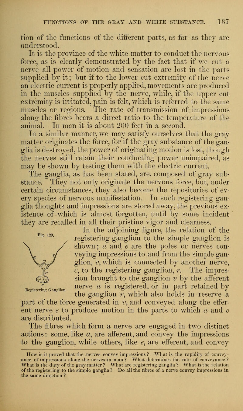 tion of the functions of the different parts, as far as they are understood. It is the province of the white matter to conduct the nervous force, as is clearly demonstrated by the fact that if we cut a nerve all power of motion and sensation are lost in the parts supplied by it; but if to the lower cut extremity of the nerve an electric current is properly applied, movements are produced in the muscles supplied by the nerve, while, if the upper cut extremity is irritated, pain is felt, which is referred to the same muscles or regions. The rate of transmission of impressions along the fibres bears a direct ratio to the temperature of the animal In man it is about 200 feet in a second. In a similar manner, we may satisfy ourselves that the gray matter originates the force, for if the gray substance of the gan- glia is destroyed, the power of originating motion is lost, though the nerves still retain their conducting power unimpaired, as may be shown by testing them with the electric current. The ganglia, as has been stated, are. composed of gray sub- stance. They not only originate the nervous force, but, under certain circumstances, they also become the repositories of ev- ery species of nervous manifestation. In such registering gan- glia thoughts and impressions are stored away, the previous ex- istence of which is almost forgotten, until by some incident they are recalled in all their pristine vigor and. clearness. In the adjoining figure, the relation of the registering ganglion to the simple ganglion is shown; a and e are the poles or nerves con- veying impressions to and from the simple gan- glion, v, which is connected by another nerve, c, to the registering ganglion, r. The impres- sion brought to the ganglion v by the afferent nerve a is registered, or in part retained bv Registering Ganglion. - _. -|-|-|-|S-i» the ganglion r, which also holds m reserve a part of the force generated in v, and conveyed along the effer- ent nerve e to produce motion in the parts to which a and e are distributed. The fibres which form a nerve are engaged in two distinct actions: some, like a, are afferent, and convey the impressions to the ganglion, while others, like e, are efferent, and convey How is it proved that the nerves convey impressions? What is the rapidity of convey- ance of impressions along the nerves in man? What determines the rate of conveyance ? What is the duty of the gray matter? What are registering ganglia ? What is the relation of the registering to the simple ganglia ? Do all the fibres of a nerve convey impressions in the same direction ?