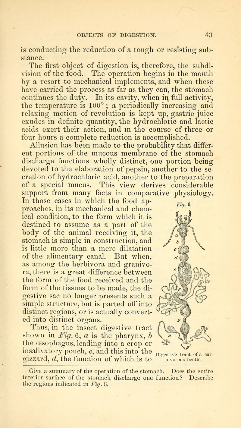 Fig. 6. is conducting the reduction of a tough or resisting sub- stance. The first object of digestion is, therefore, the subdi- vision of the food. The operation begins in the mouth by a resort to mechanical implements, and when these have carried the process as far as they can, the stomach continues the duty. In its cavity, when in full activity, the temperature is 100° ; a periodically increasing and relaxing motion of revolution is kept up, gastric juice exudes in definite quantity, the hydrochloric and lactic acids exert their action, and in the course of three or four hours a complete reduction is accomplished. Allusion has been made to the probability that differ- ent portions of the mucous membrane of the stomach discharge functions wholly distinct, one portion being devoted to the elaboration of pepsin, another to the se- cretion of hydrochloric acid, another to the preparation of a special mucus. This view derives considerable support from many facts in comparative physiology. In those cases in which the food ap- proaches, in its mechanical and chem- ical condition, to the form which it is destined to assume as a part of the body of the animal receiving it, the stomach is simple in construction, and is little more than a mere dilatation of the alimentary canal. But when, as among the herbivora and granivo- ra, there is a great difference between the form of the food received and the form of the tissues to be made, the di- gestive sac no longer presents such a simple structure, but is parted off into distinct regions, or is actually convert- ed into distinct organs. Thus, in the insect digestive tract shown in Fig. 6, a is the pharynx, b the oesophagus, leading into a crop or insalivatory pouch, c. and this into the ~ , /f „ ' .' _ , . , . Digestive tract of a car- glZZard, «, the function of which IS to nivorous beetle. Give a summary of the operation of the stomach. Does the entire interior surface of the stomach discharge one function? Describe the regions indicated in Fig. 6.