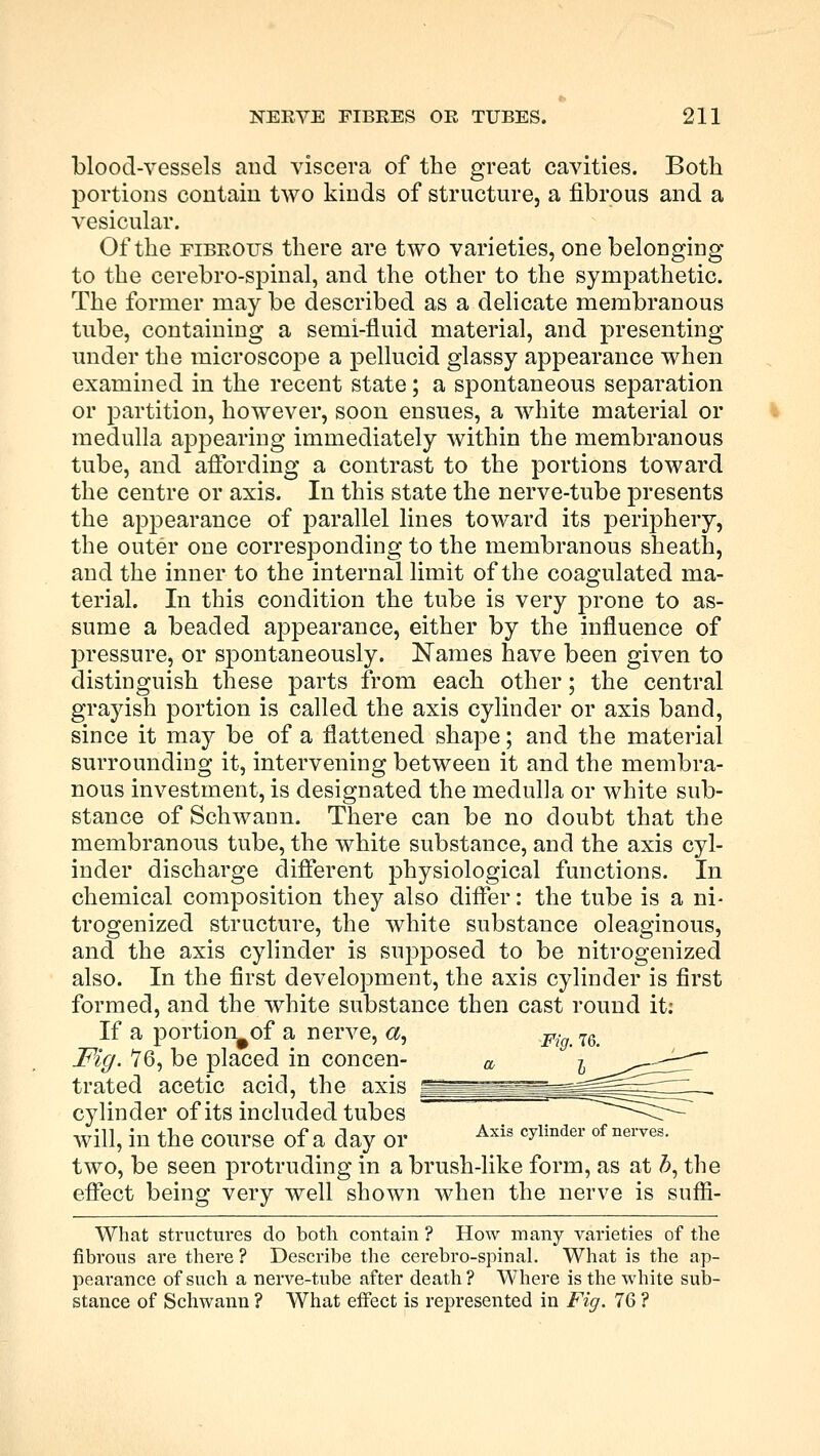 blood-vessels and viscera of the great cavities. Both portions contain two kinds of structure, a fibrous and a vesicular. Of the eibrotts there are two varieties, one belonging to the cerebro-spinal, and the other to the sympathetic. The former may be described as a delicate membranous tube, containing a semi-fluid material, and presenting under the microscope a pellucid glassy appearance when examined in the recent state; a spontaneous separation or partition, however, soon ensues, a white material or medulla appearing immediately within the membranous tube, and affording a contrast to the portions toward the centre or axis. In this state the nerve-tube presents the appearance of parallel lines toward its periphery, the outer one corresponding to the membranous sheath, and the inner to the internal limit of the coagulated ma- terial. In this condition the tube is very prone to as- sume a beaded appearance, either by the influence of pressure, or spontaneously. Names have been given to distinguish these parts from each other; the central grayish portion is called the axis cylinder or axis band, since it may be of a flattened shape; and the material surrounding it, intervening between it and the membra- nous investment, is designated the medulla or white sub- stance of Schwann. There can be no doubt that the membranous tube, the white substance, and the axis cyl- inder discharge different physiological functions. In chemical composition they also differ: the tube is a ni- trogenized structure, the white substance oleaginous, and the axis cylinder is supposed to be nitrogenized also. In the first development, the axis cylinder is first formed, and the white substance then cast round it: If a portiomof a nerve, a, Fi 76> Fig. 76, be placed in concen- a & trated acetic acid, the axis cylinder of its included tubes will, in the course of a day or Axis cylinder of nerves- two, be seen protruding in a brush-like form, as at b, the effect being very well shown when the nerve is sufli- What structures do both contain ? How many varieties of the fibrous are there ? Describe the cerebro-spinal. What is the ap- pearance of such a nerve-tube after death? Where is the white sub- stance of Schwann ? What effect is represented in Fig. 76 ?