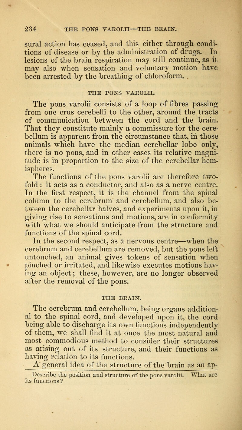 sural action has ceased, and this either through condi- tions of disease or by the administration of drugs. In lesions of the brain respiration may still continue, as it may also when sensation and voluntary motion have been arrested by the breathing of chloroform. . THE PONS VAROLII. The pons varolii consists of a loop of fibres passing from one crus cerebelli to the other, around the tracts of communication between the cord and the brain. That they constitute mainly a commissure for the cere- bellum is apparent from the circumstance that, in those animals which have the median cerebellar lobe only, there is no pons, and in other cases its relative magni- tude is in proportion to the size of the cerebellar hem- ispheres. The functions of the pons varolii are therefore two- fold : it acts as a conductor, and also as a nerve centre. In the first respect, it is the channel from the spinal column to the cerebrum and cerebellum, and also be- tween the cerebellar halves, and experiments upon it, in giving rise to sensations and motions, are in conformity with what we should anticipate from the structure and functions of the spinal cord. In the second respect, as a nervous centre—when the cerebrum and cerebellum are removed, but the pons left untouched, an animal gives tokens of sensation when pinched or irritated, and likewise executes motions hav- ing an object; these, however, are no longer observed after the removal of the pons. THE BRAIN. The cerebrum and cerebellum, being organs addition- al to the spinal cord, and developed upon it, the cord being able to discharge its own functions independently of them, we shall find it at once the most natural and most commodious method to consider their structures as arising out of its structure, and their functions as having relation to its functions. A'general idea of the structure of the brain as an ap- Describe the position and structure of the pons varolii. What are its functions ?